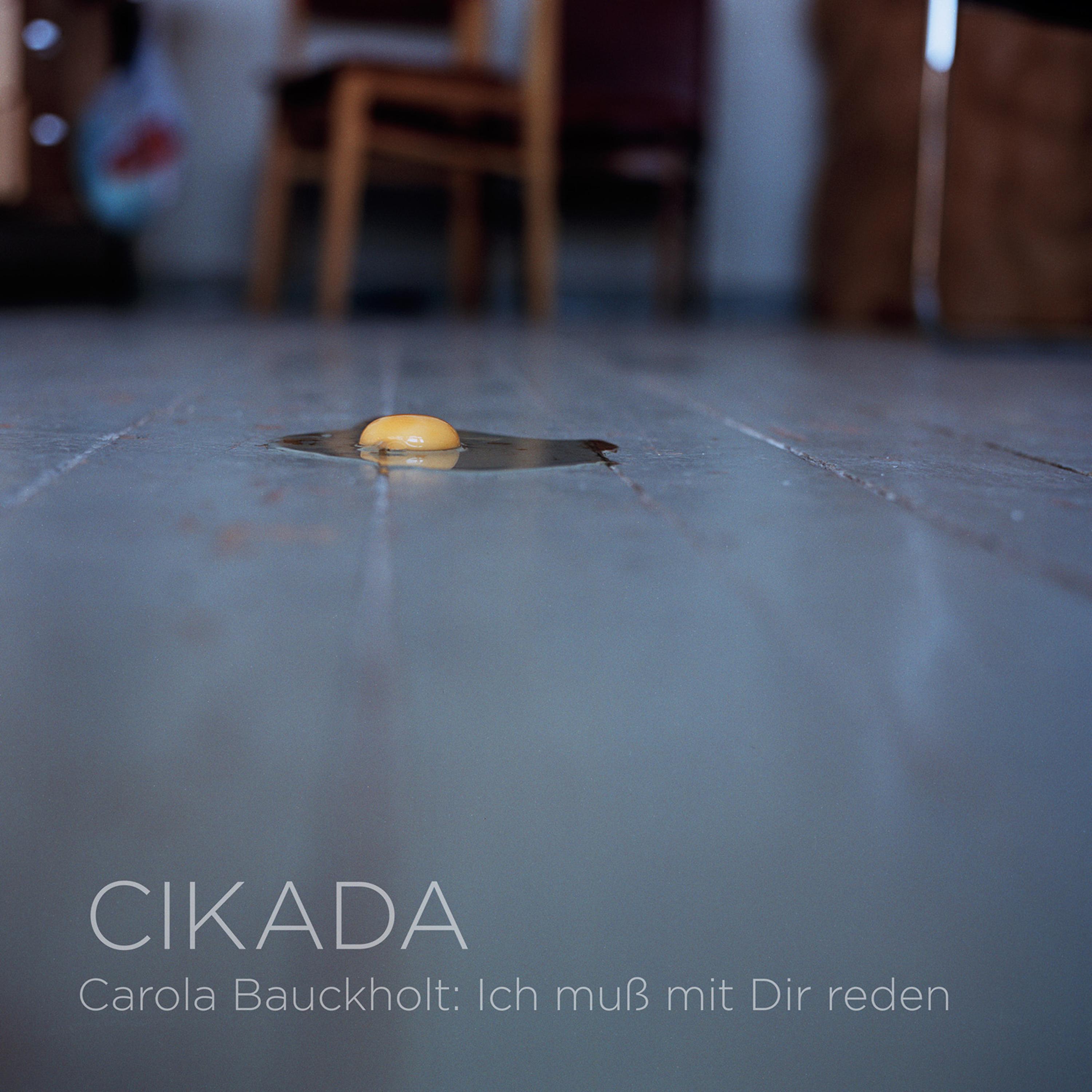 Постер альбома Carola Bauckholt: Ich Muß Mit Dir Reden