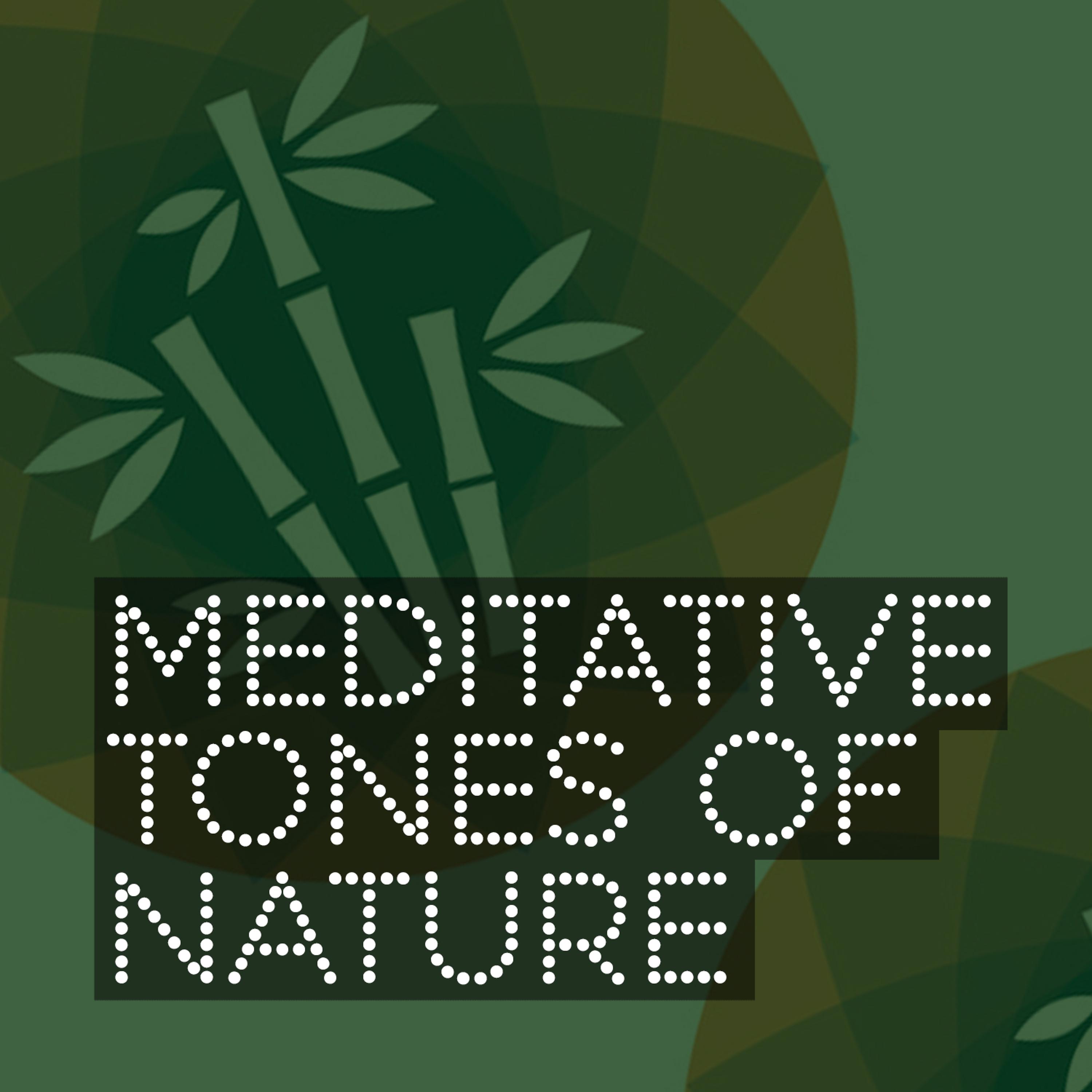 Постер альбома Meditative Tones of Nature