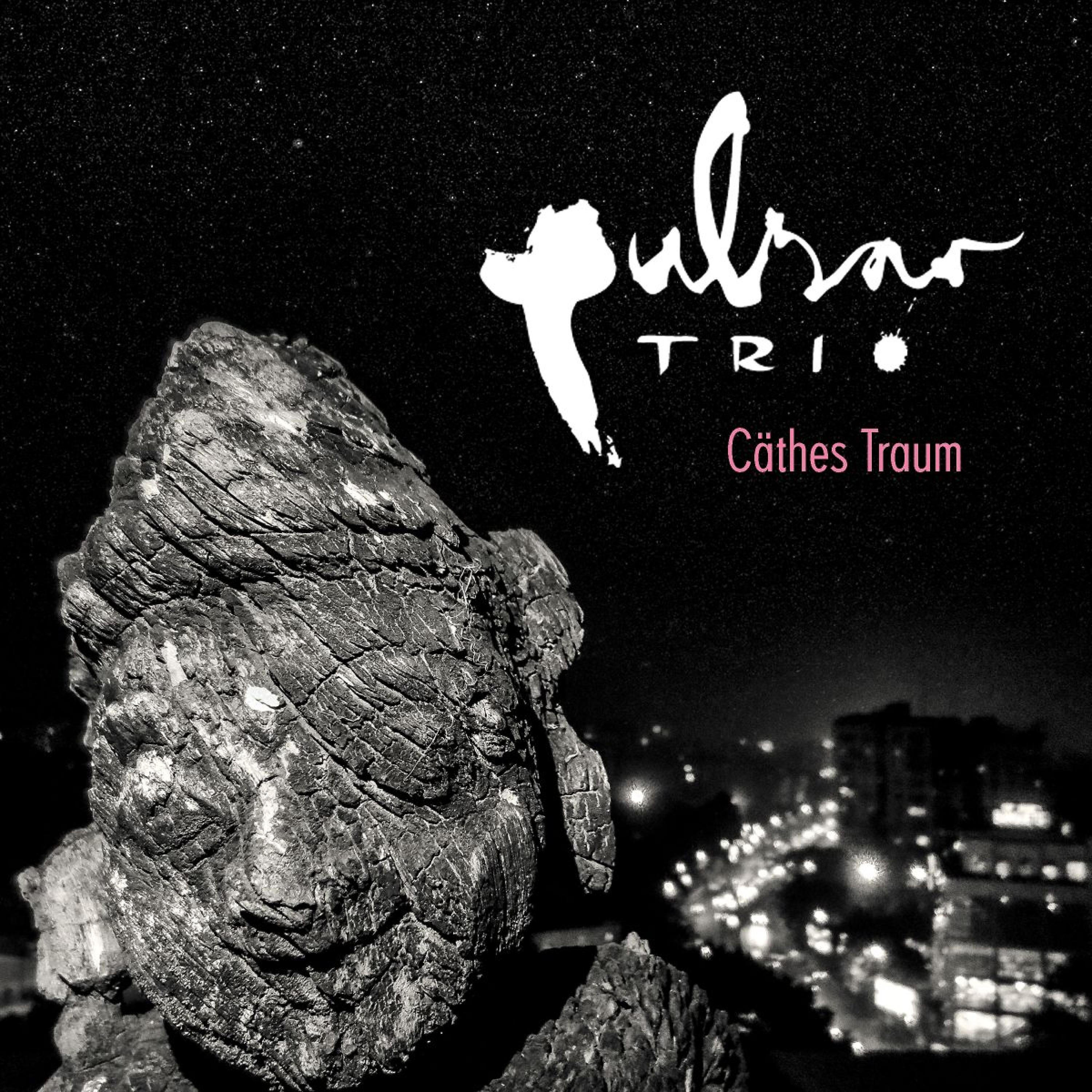 Pulsar Trio - Seven Horses and a Hornet