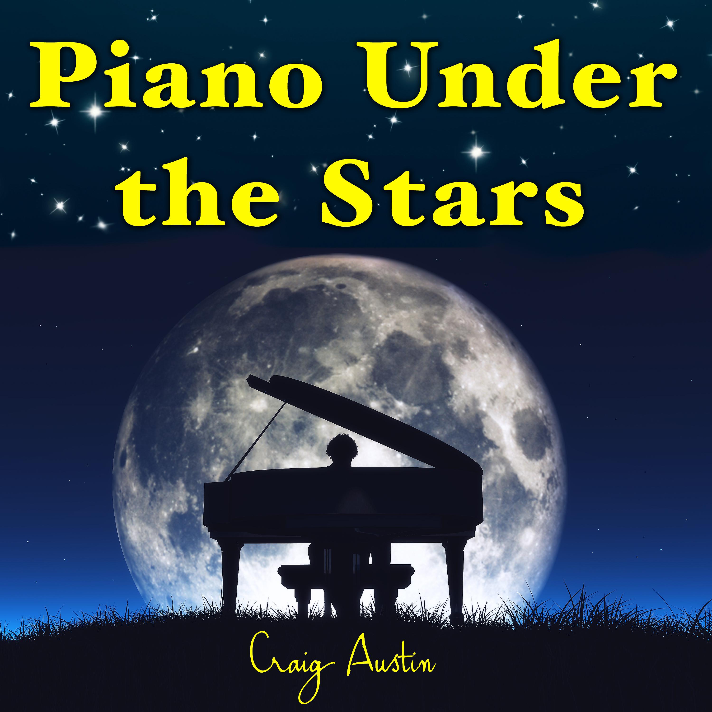 Постер альбома Piano Under the Stars