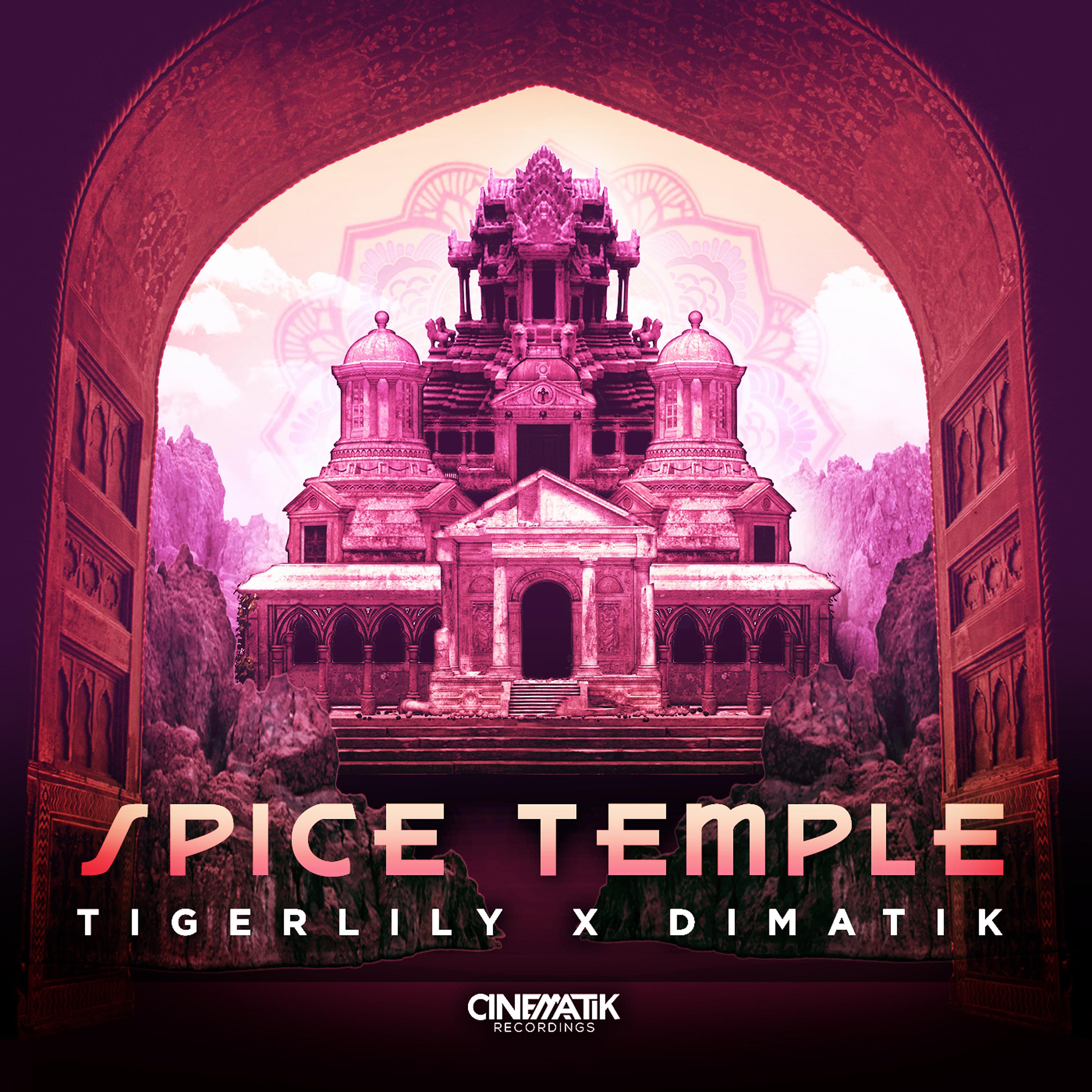 Постер альбома Spice Temple (Remixes)