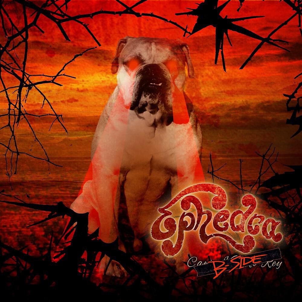 Ephedra - Father Kyuss
