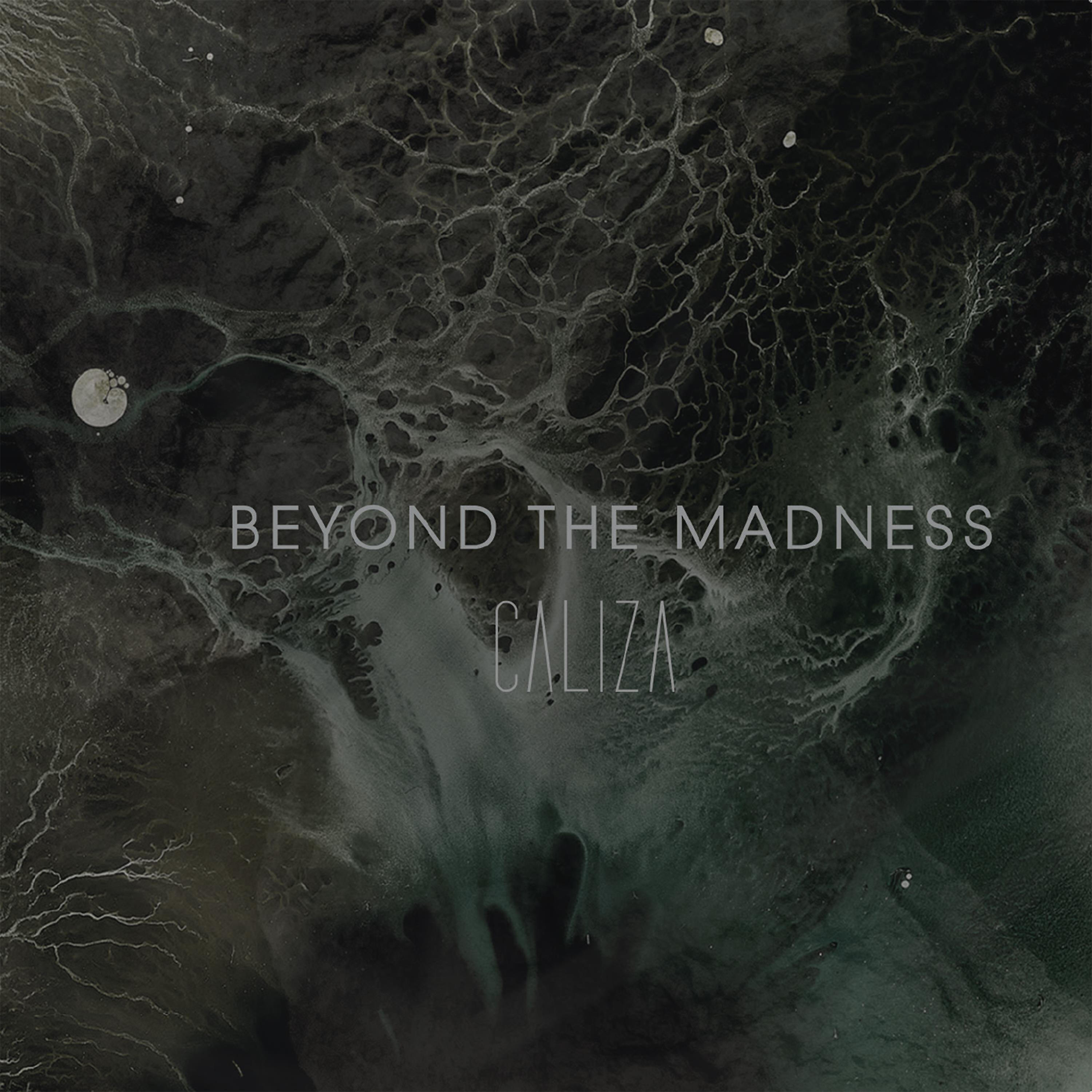 Beyond The Madness - Brotherhood