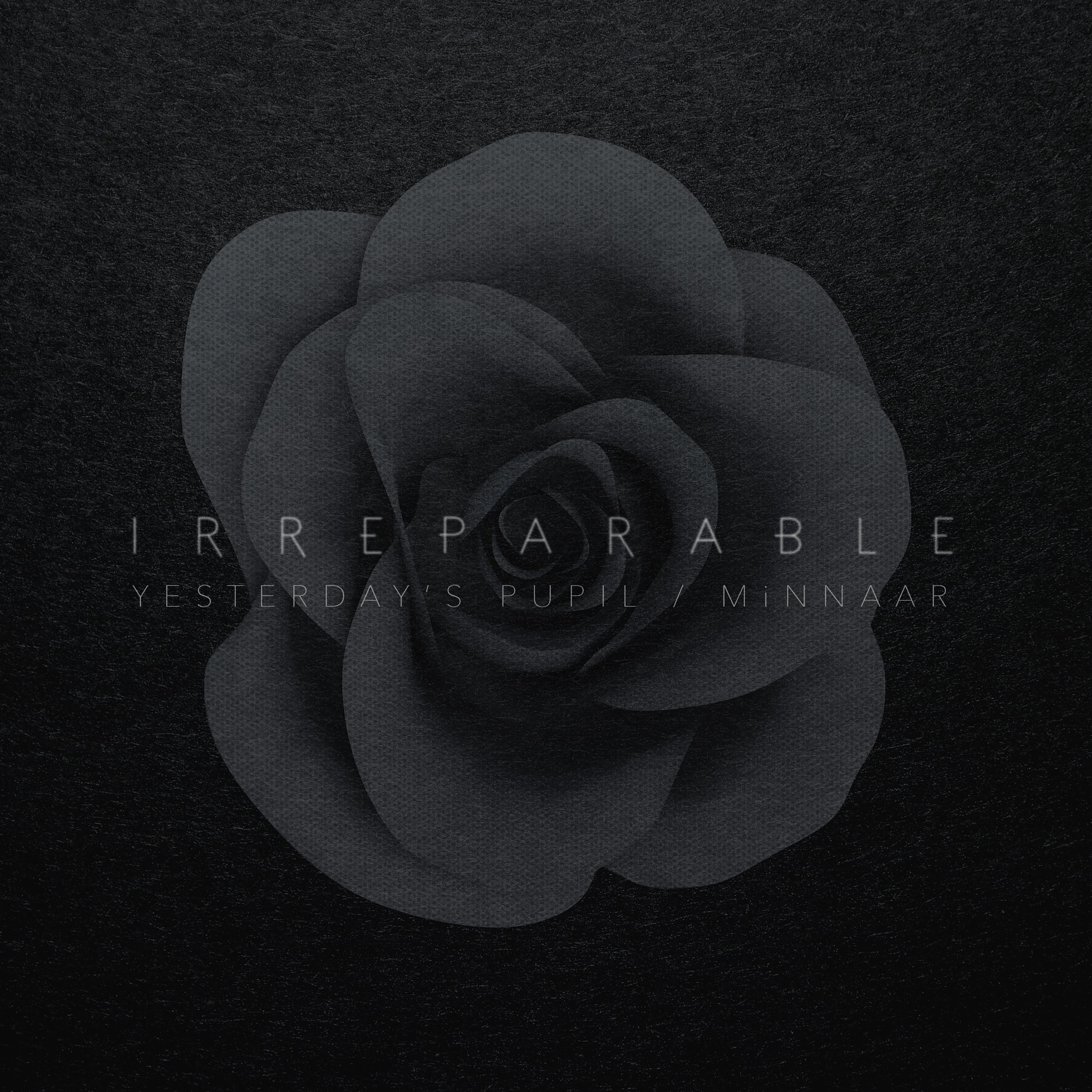 MiNNAAR - Irreparable