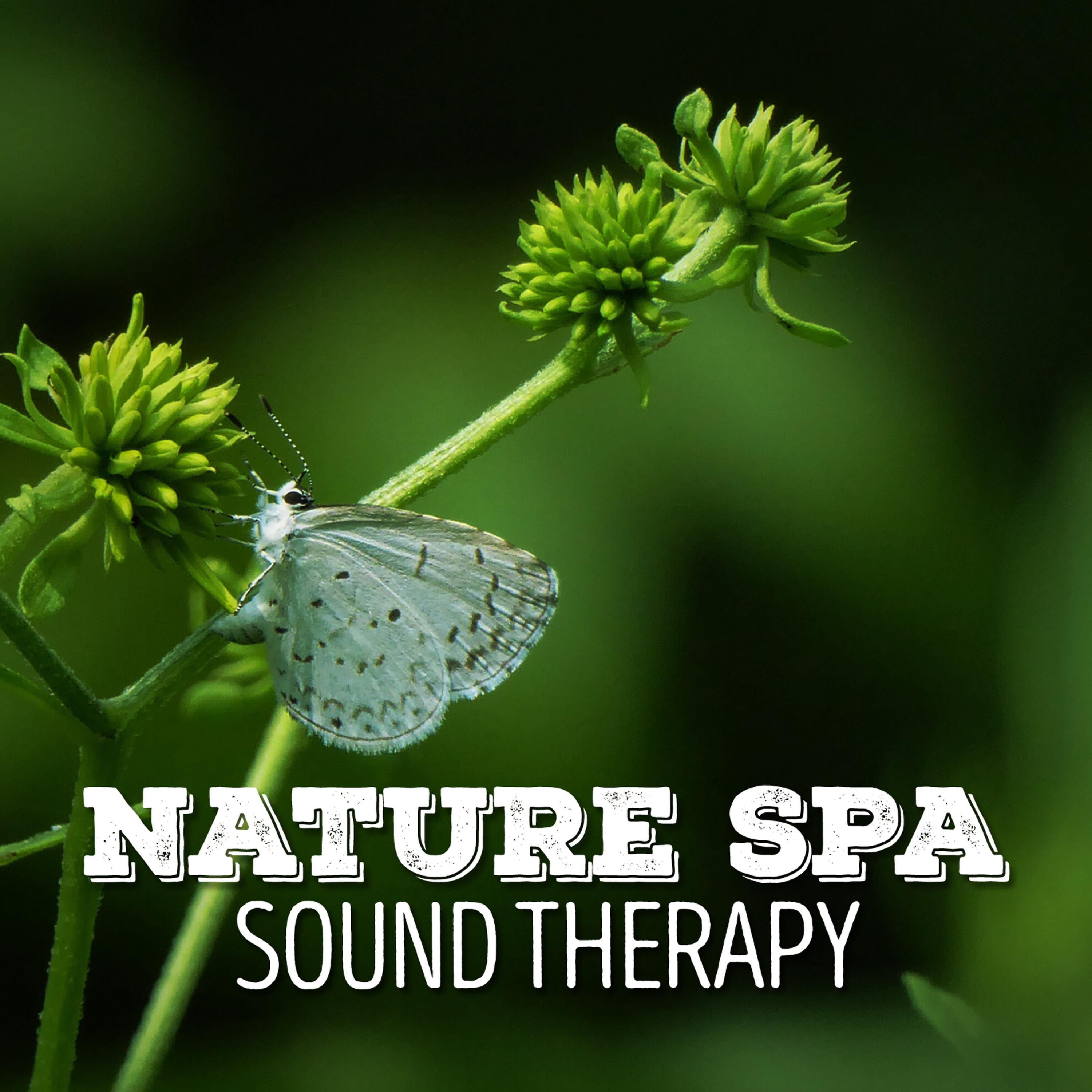 Постер альбома Nature Spa Sound Therapy
