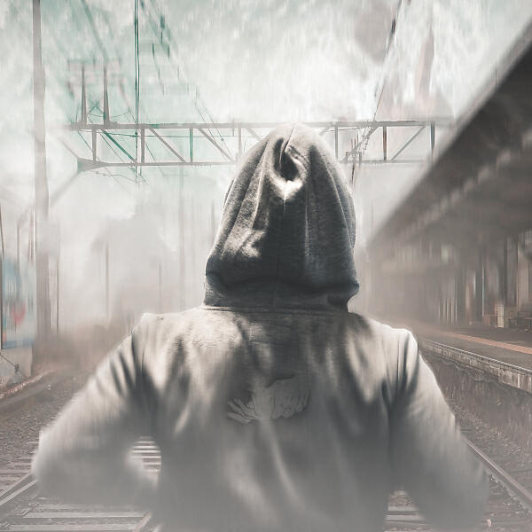 Lirio - Hermit