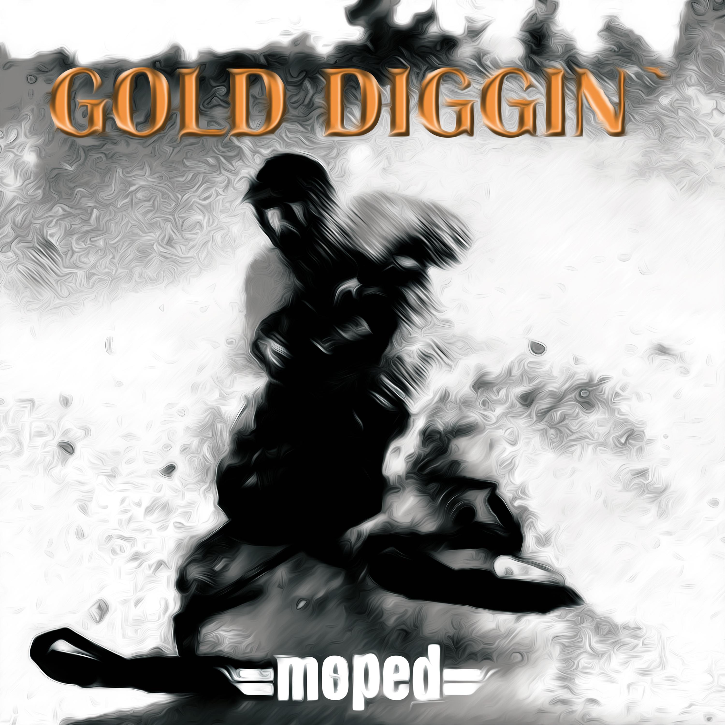 Постер альбома Gold Diggin'