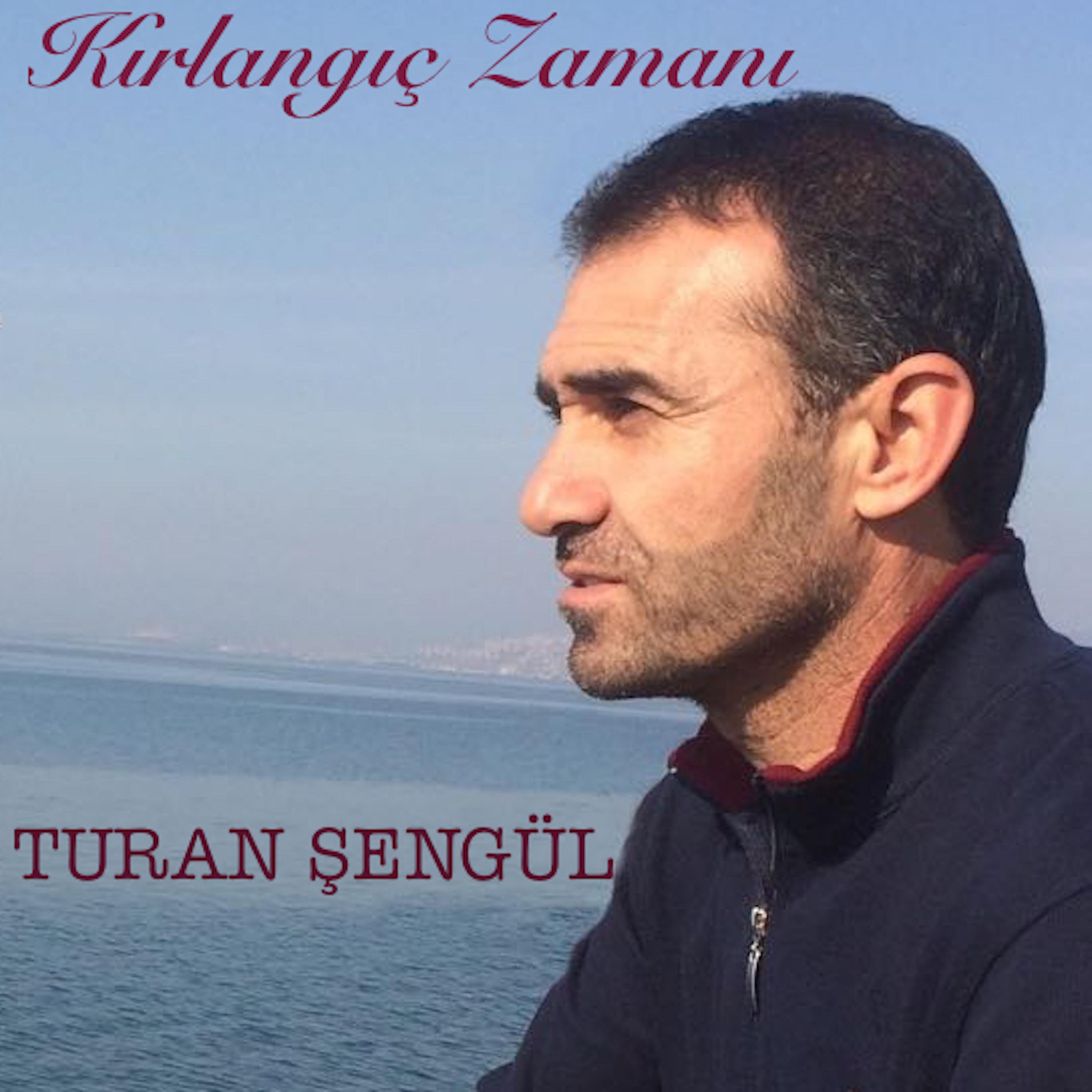 Постер альбома Kırlangıç Zamanı
