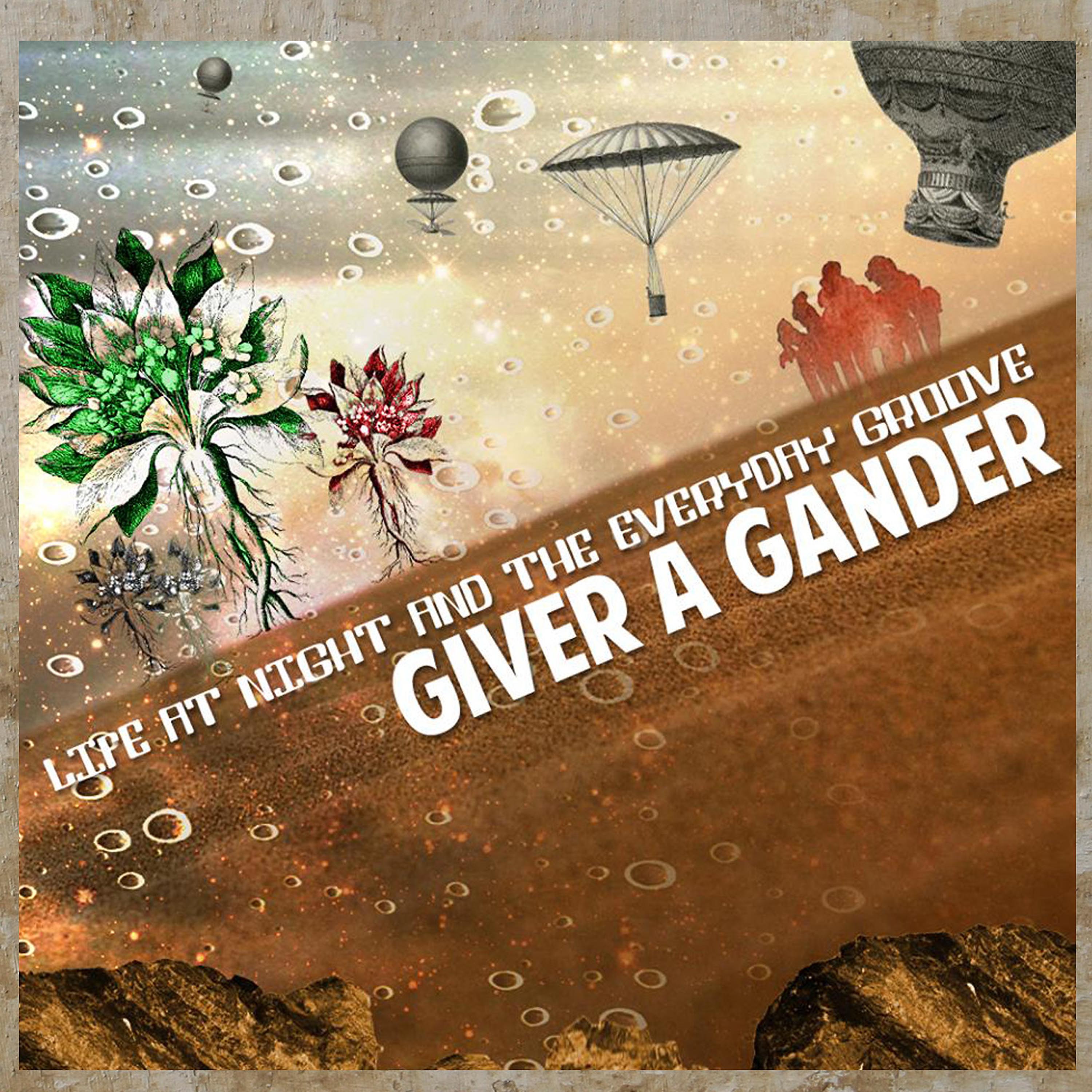 Постер альбома Giver a Gander