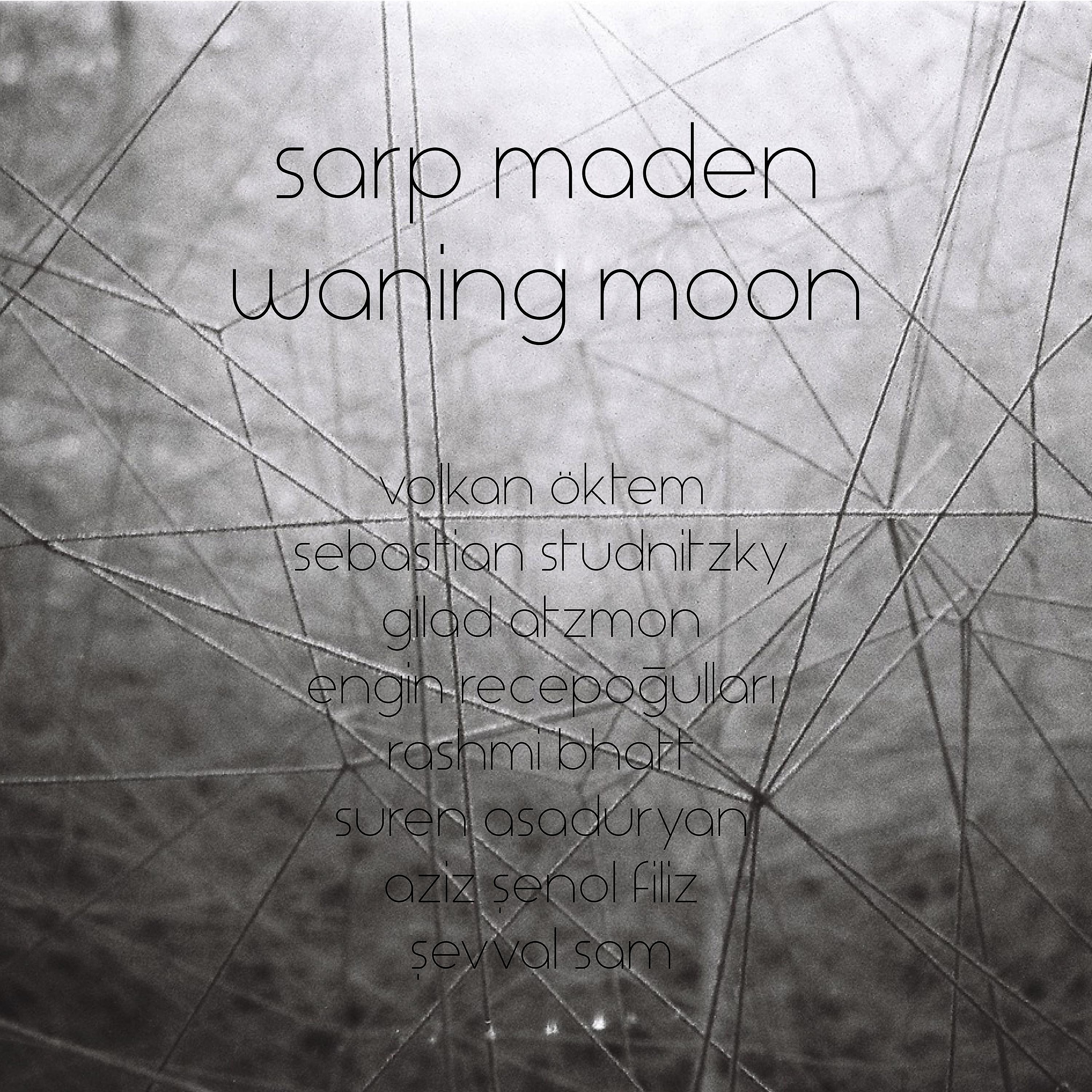 Постер альбома Waning Moon