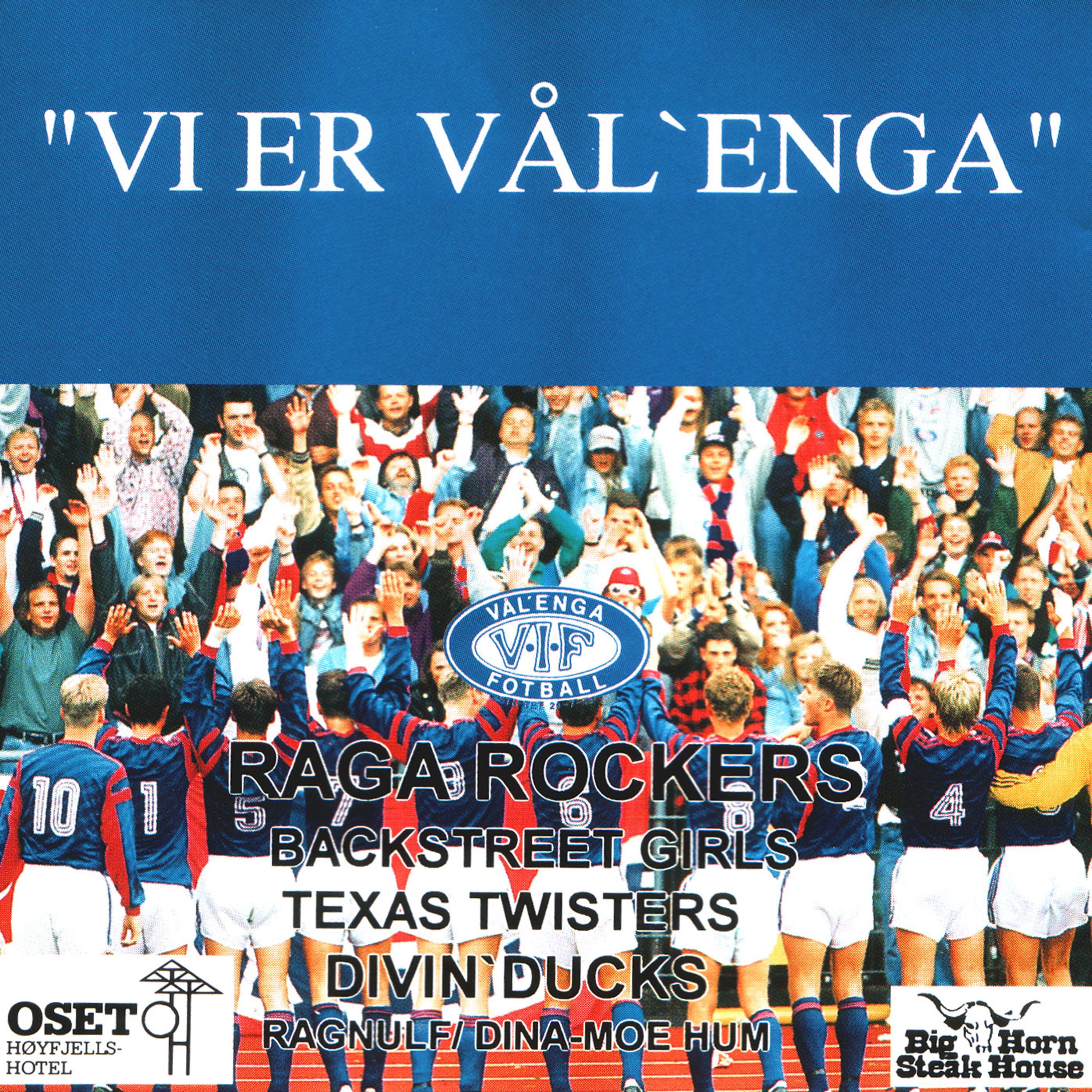 Постер альбома Vi Er Vål`enga