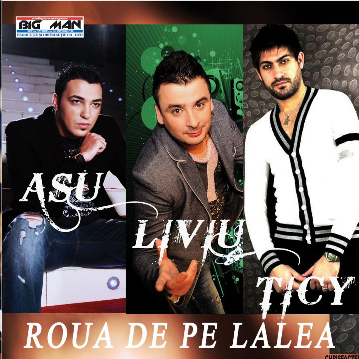 Постер альбома Roua De Pe Lalea