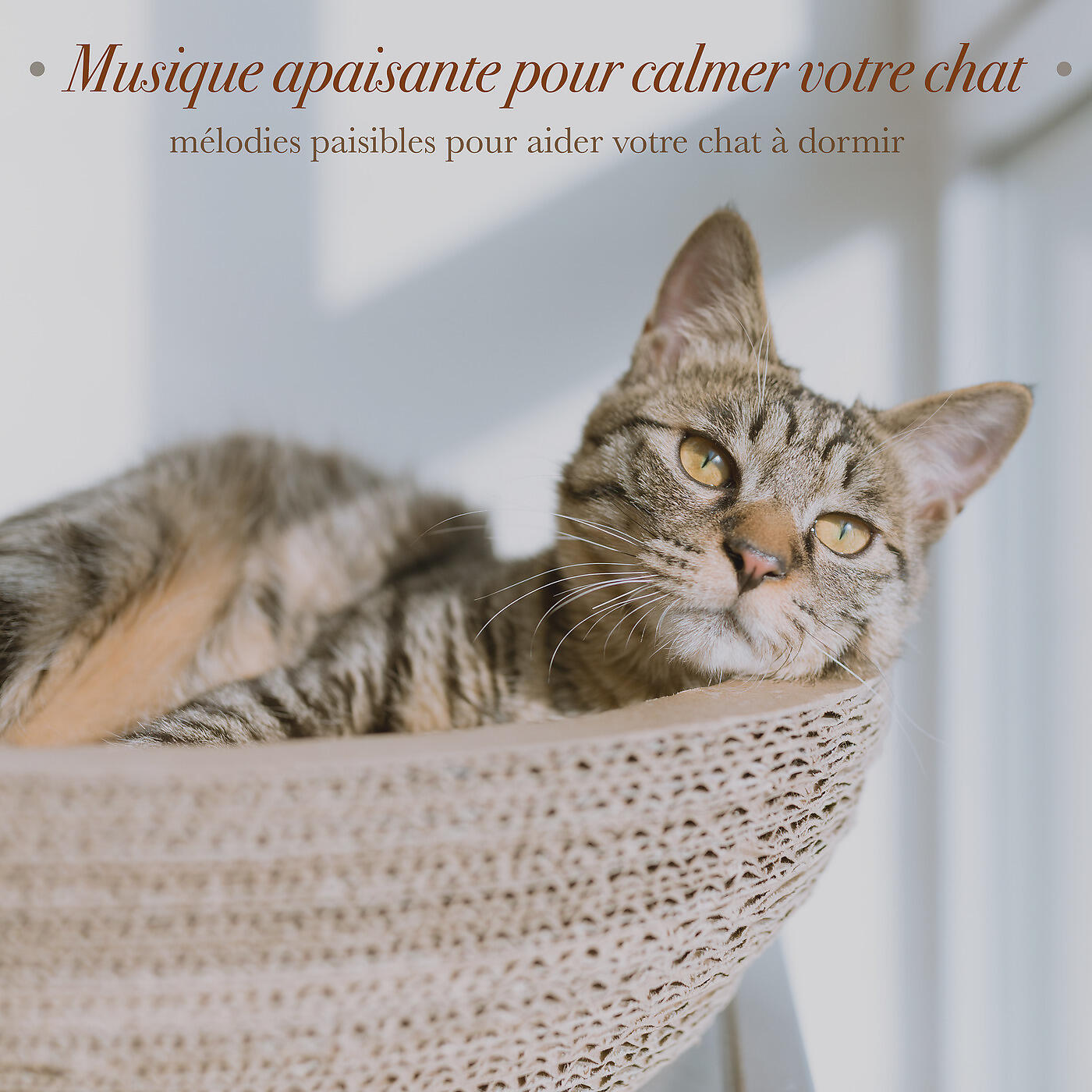 RelaxMyCat - Nuit Confortable