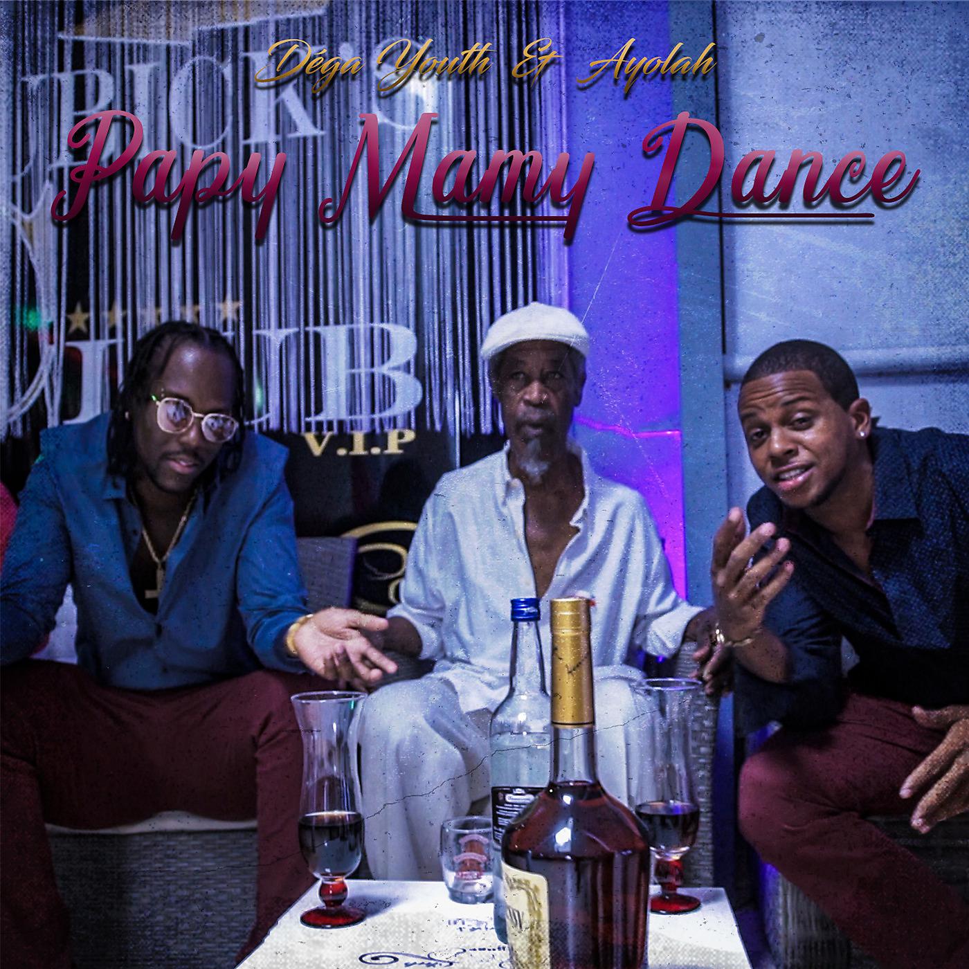 Постер альбома Papy mamy dance