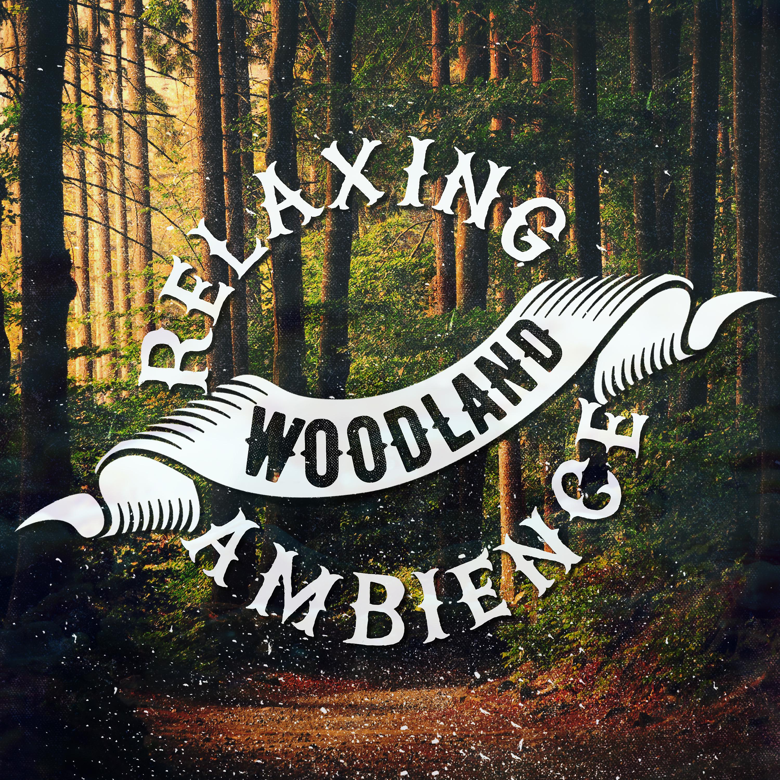 Постер альбома Relaxing Woodland Ambience