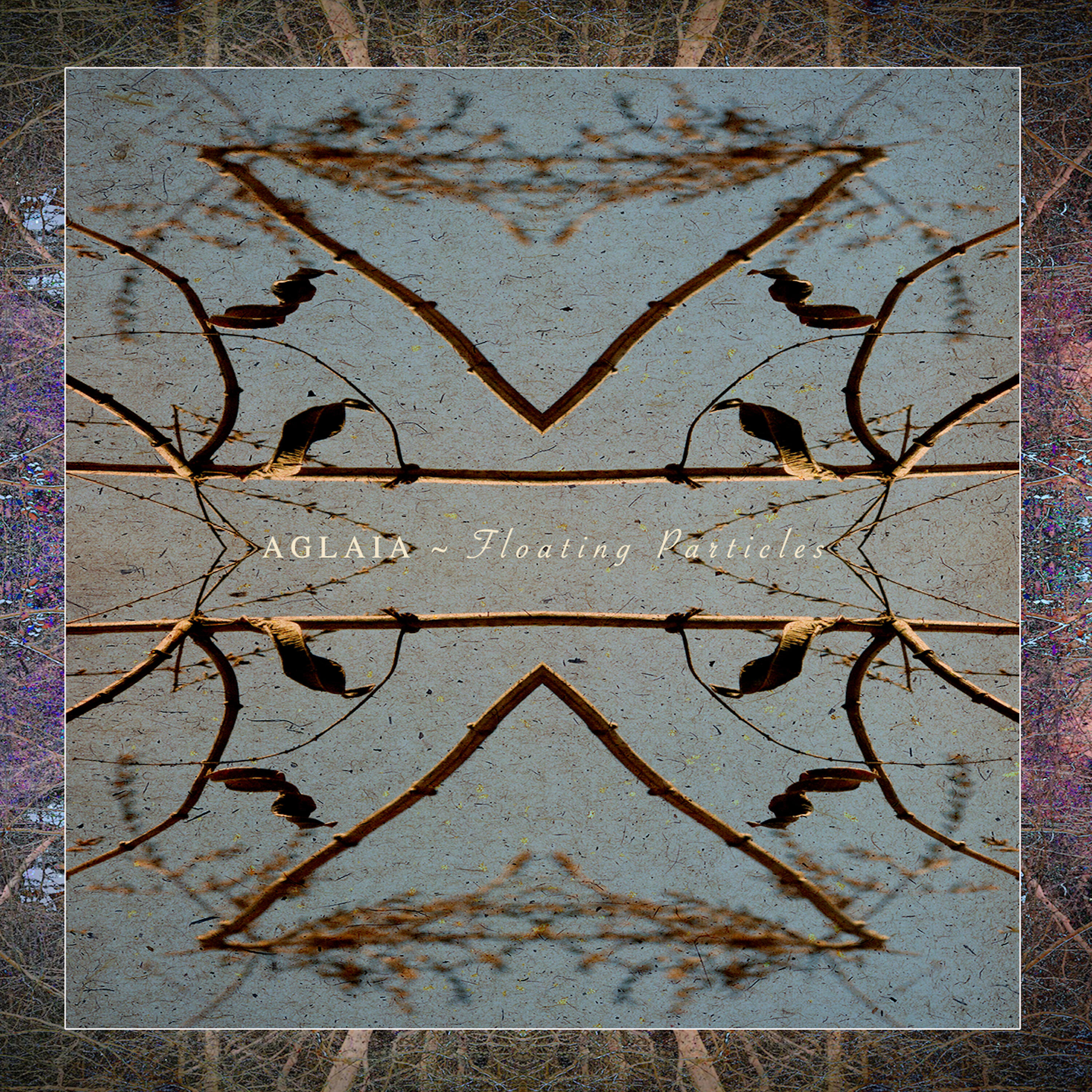 Aglaia - Flying Neutrons