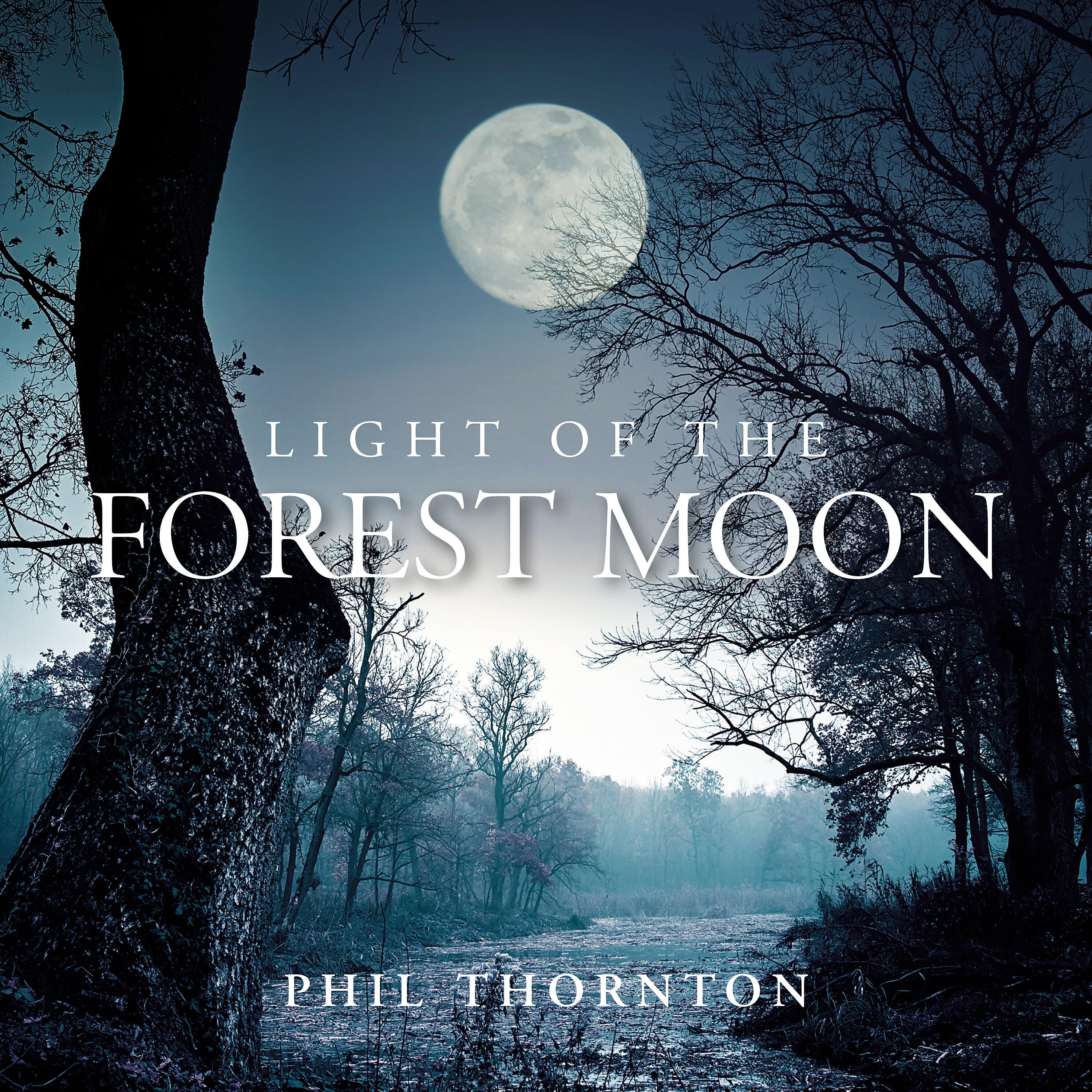 Phil Thornton - A Day in the Sun