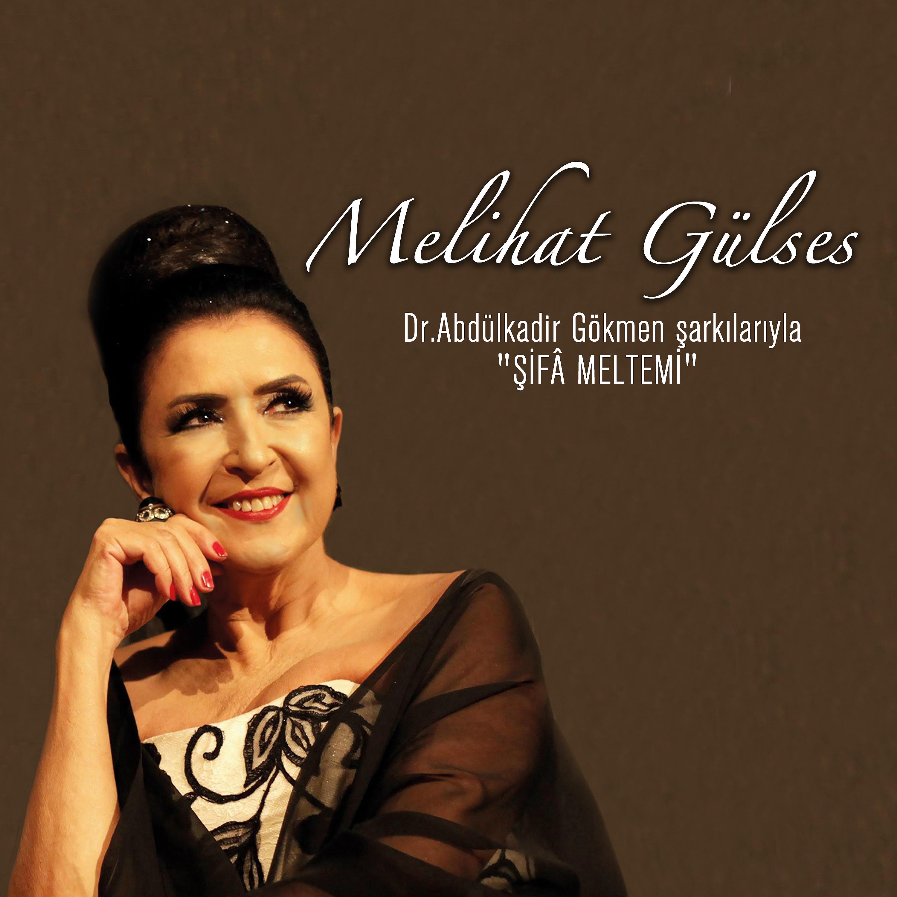 Постер альбома Şifa Meltemi / Dr. Abdülkadir Gökmen Şarkılarıyla