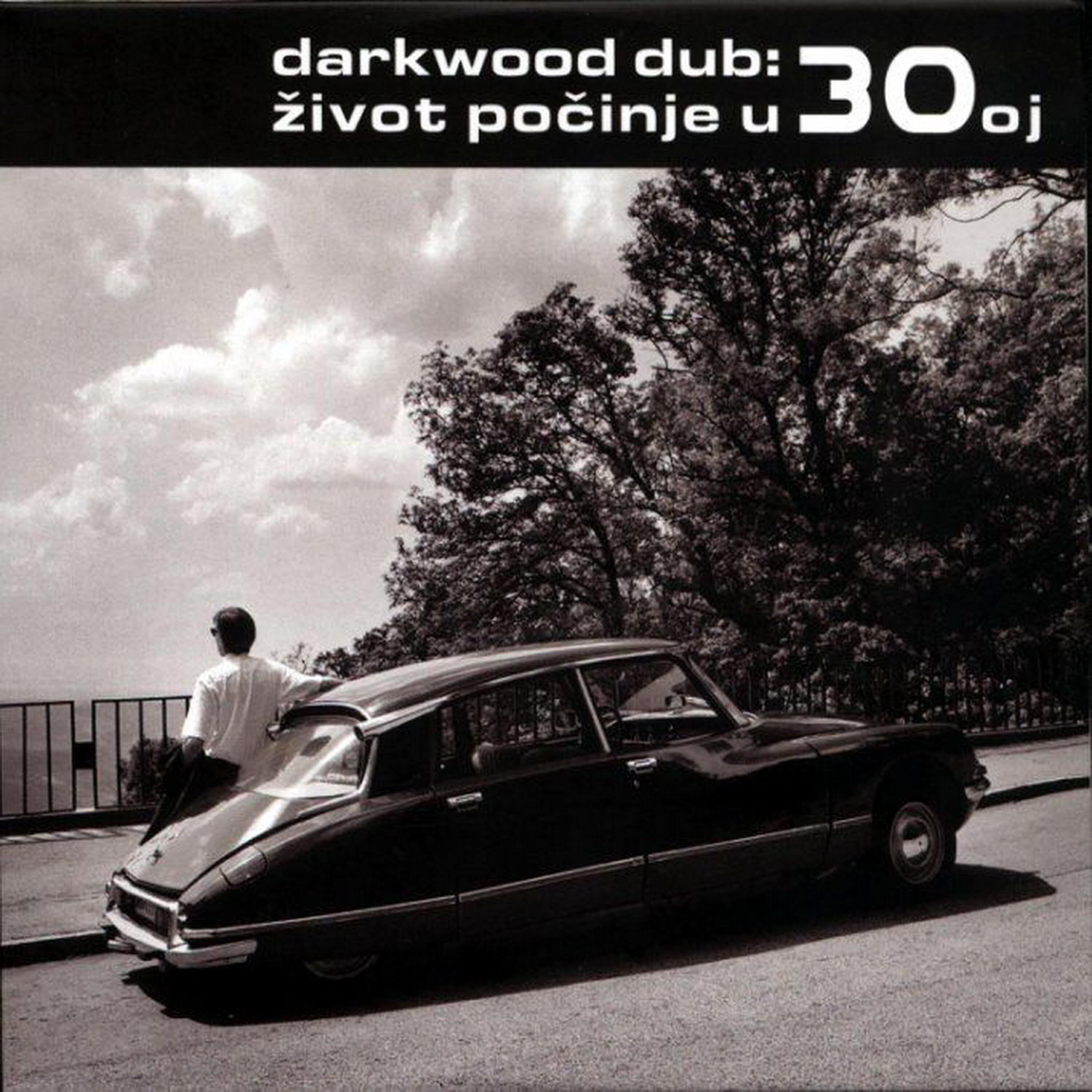 Darkwood Dub - Vrtlog Vira