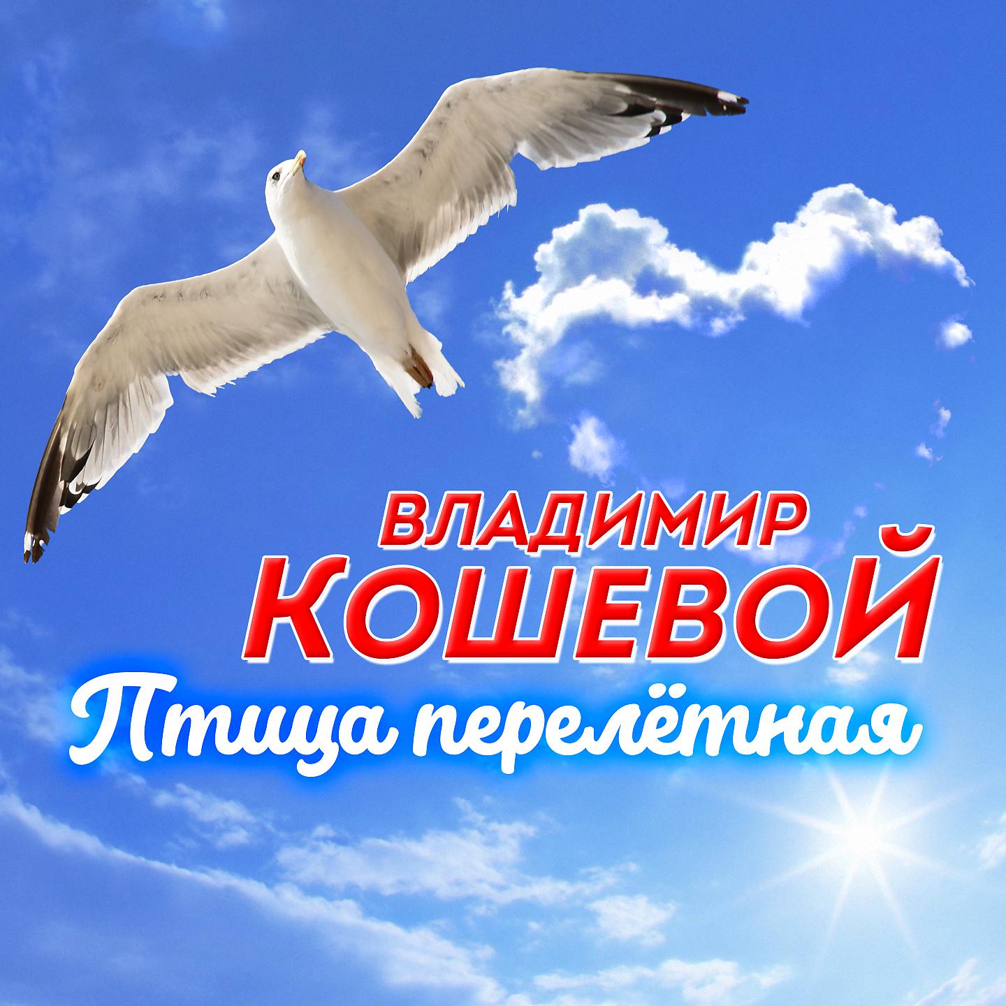 Постер альбома Птица перелётная