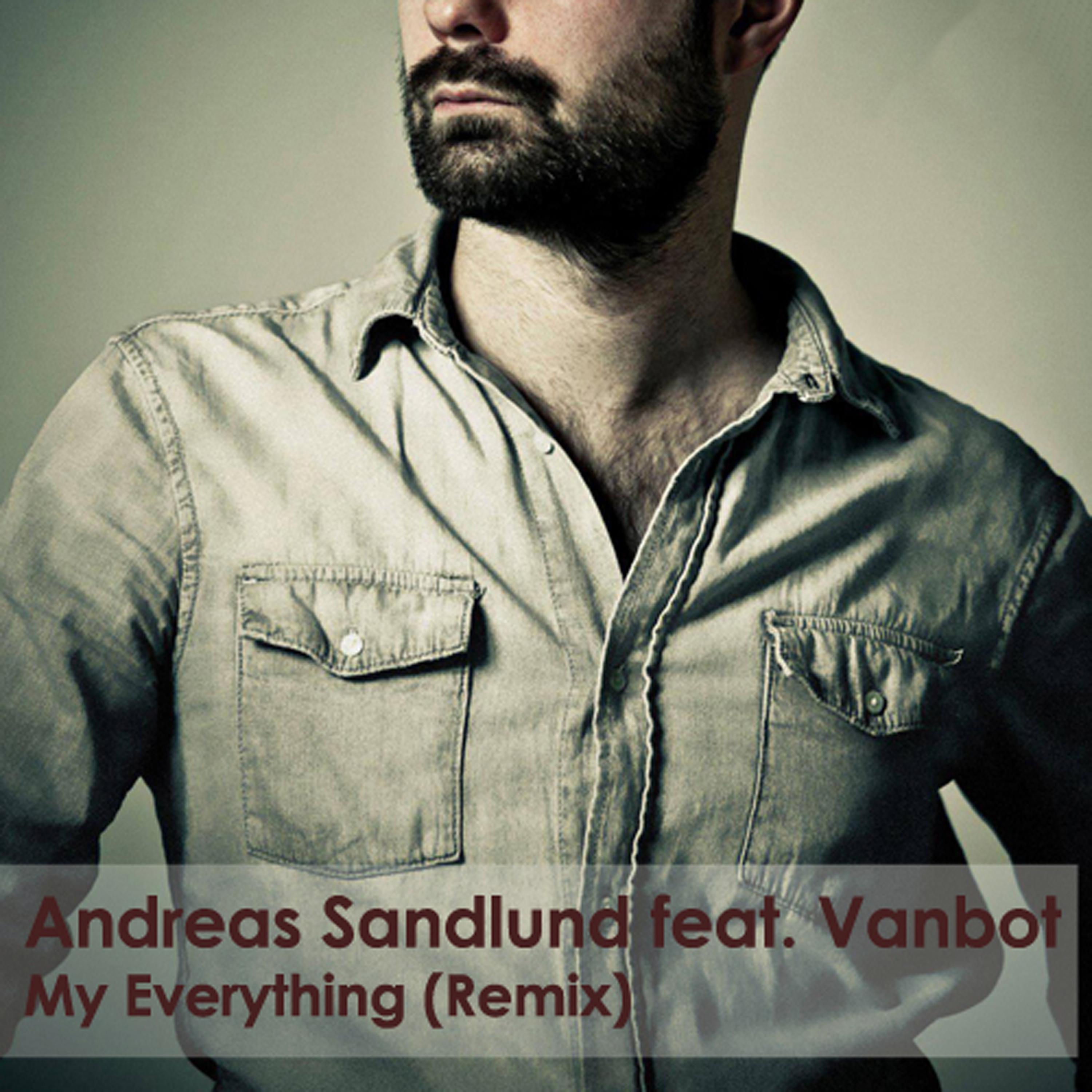 Постер альбома My Everything (Remix)