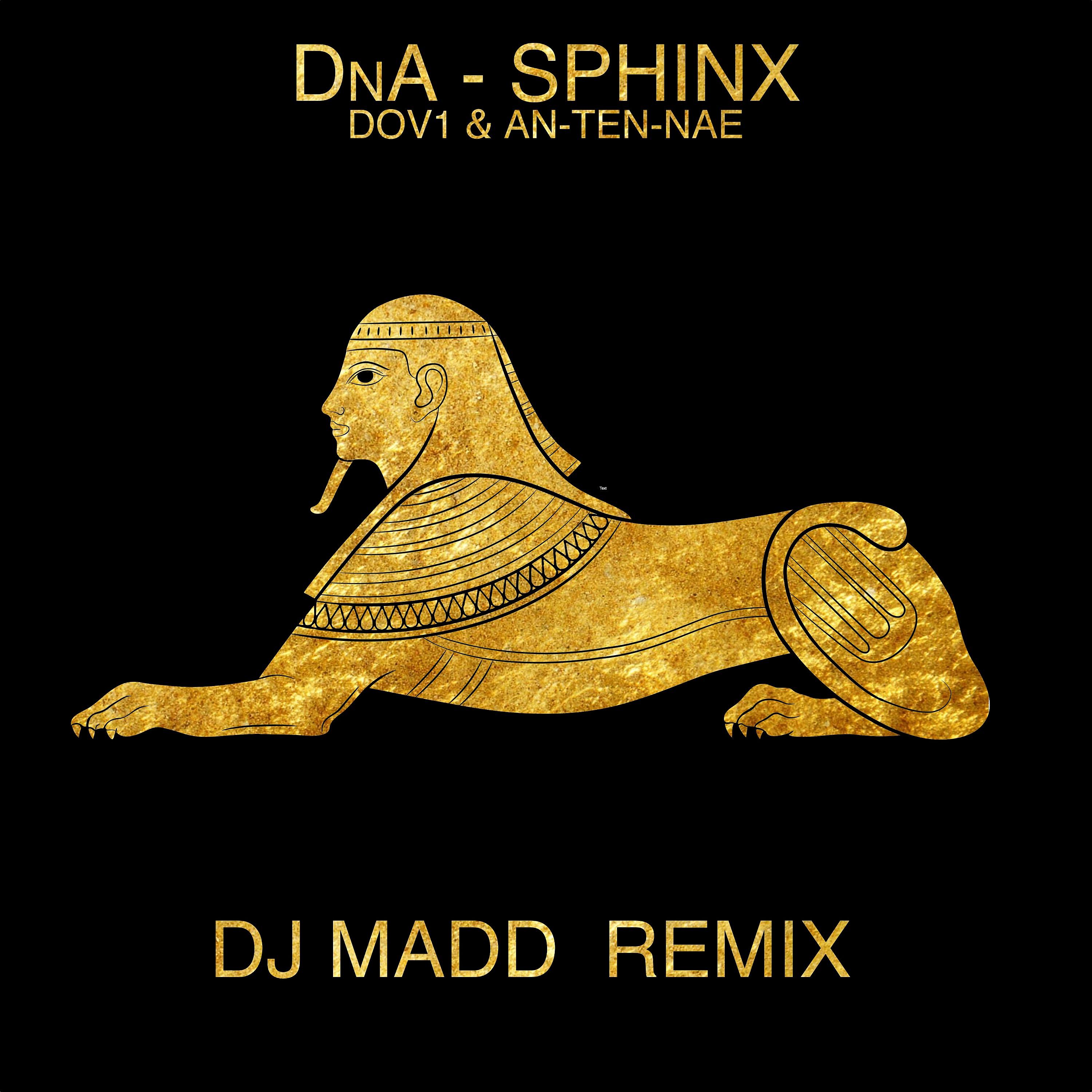 Постер альбома Sphinx (DJ Madd Remix)