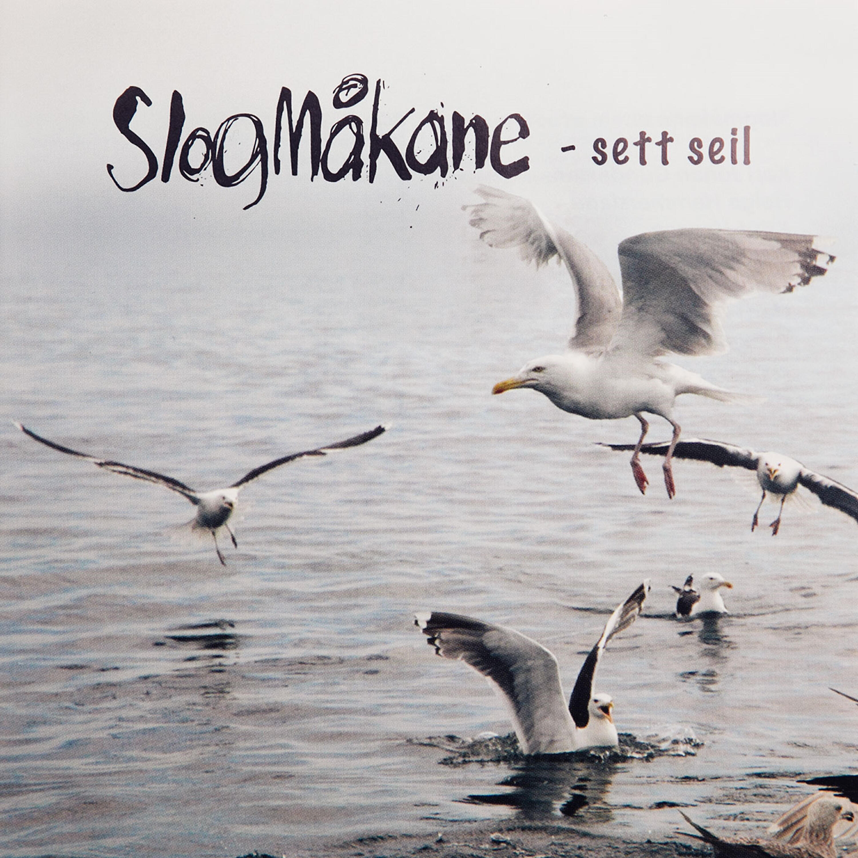 Slogmåkane Sjantikor - Billy O'shea