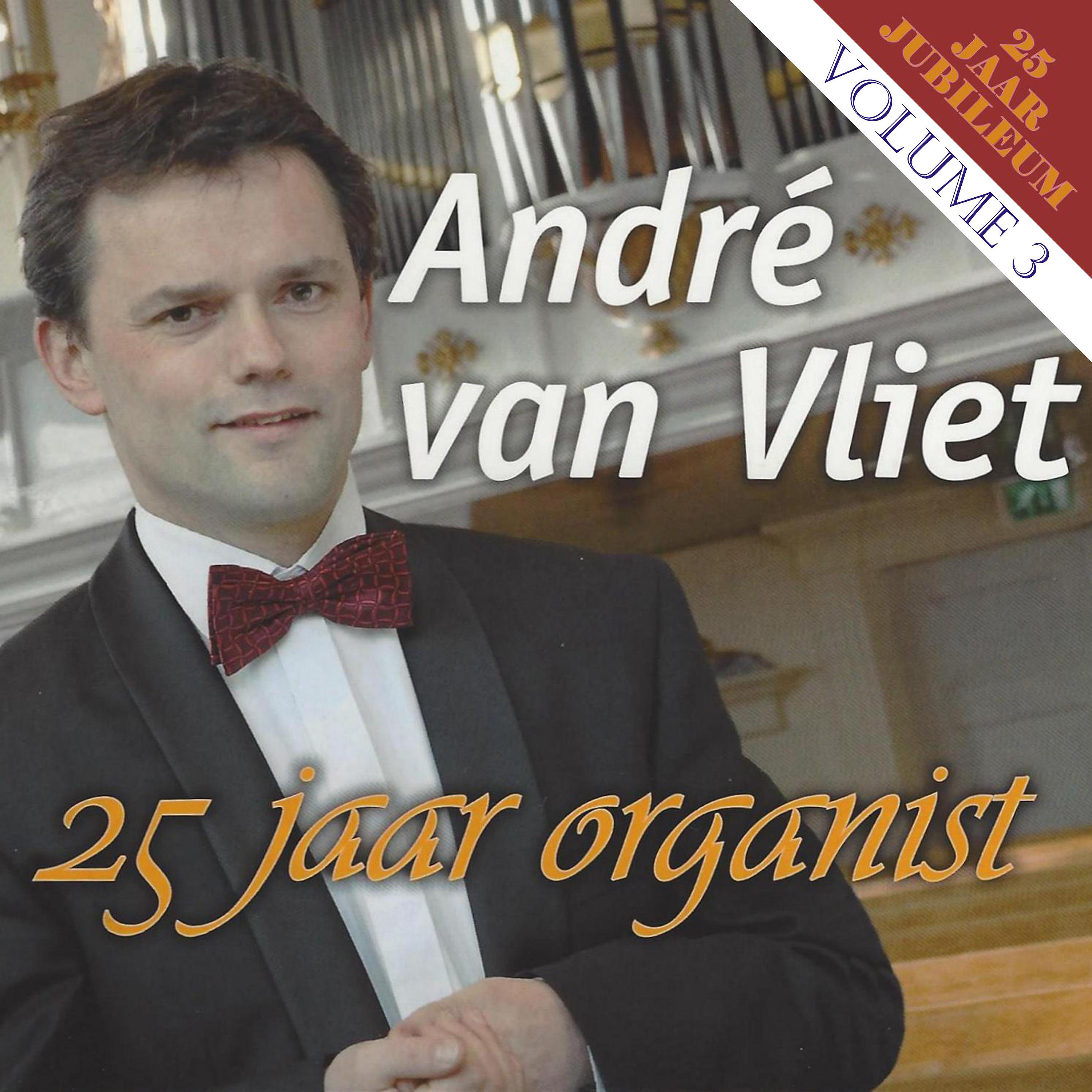 Постер альбома 25 Jaar Organist, Volume 3