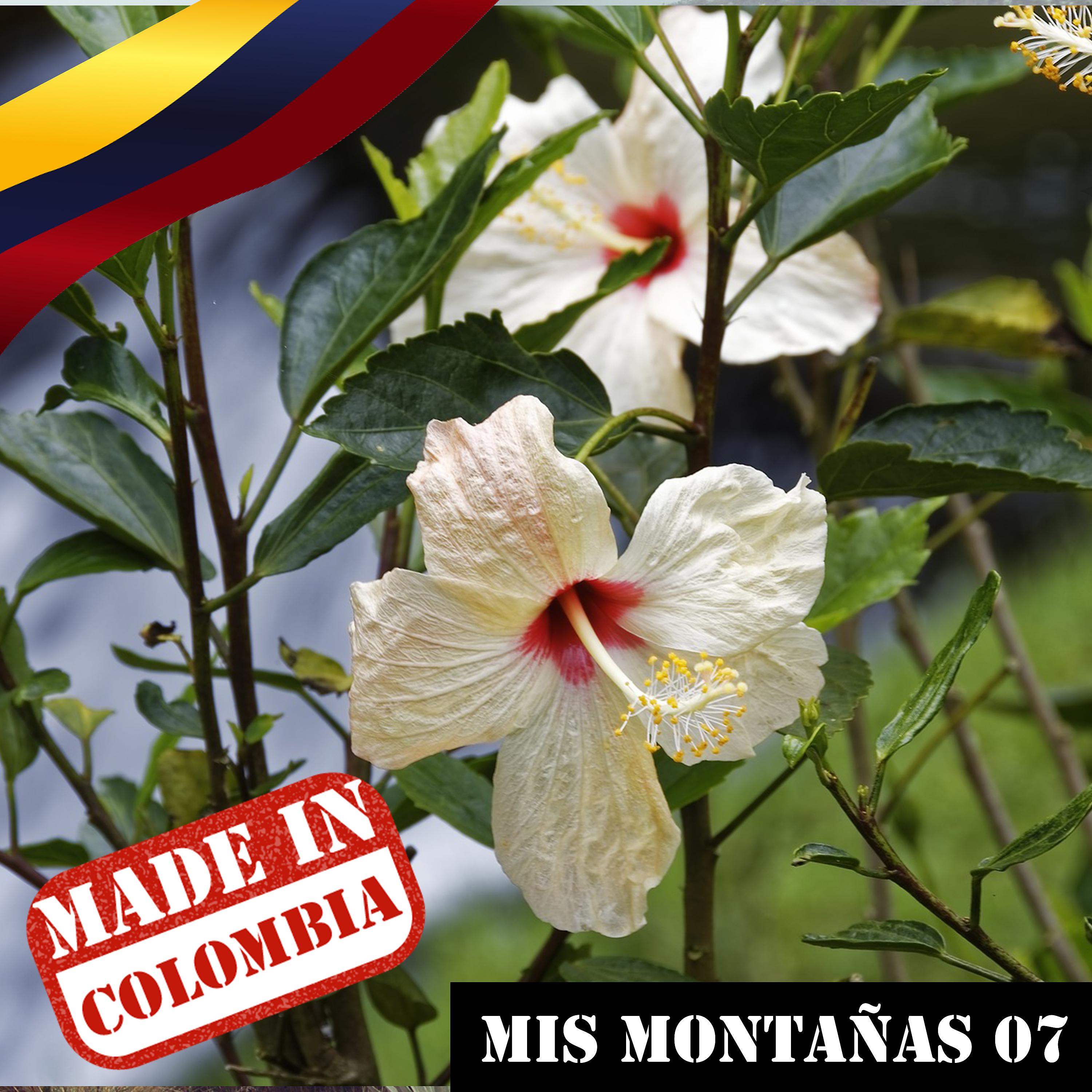 Постер альбома Made In Colombia / Mis Montañas / 7