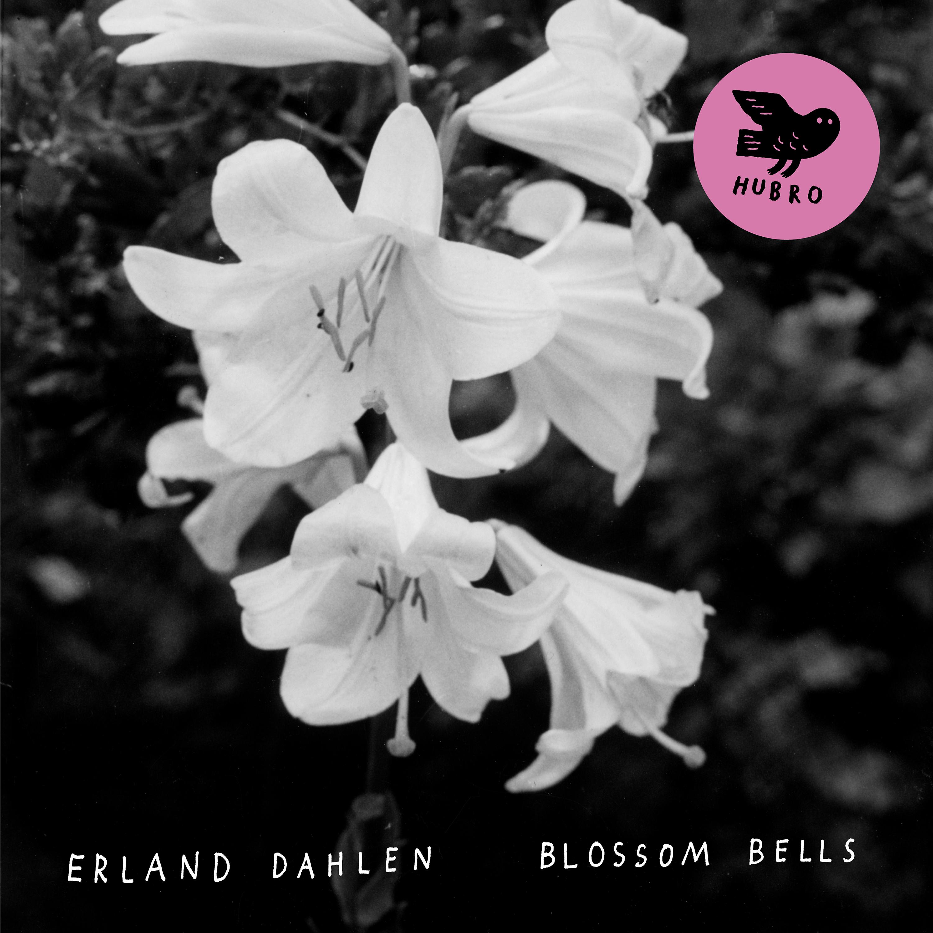 Постер альбома Blossom Bells