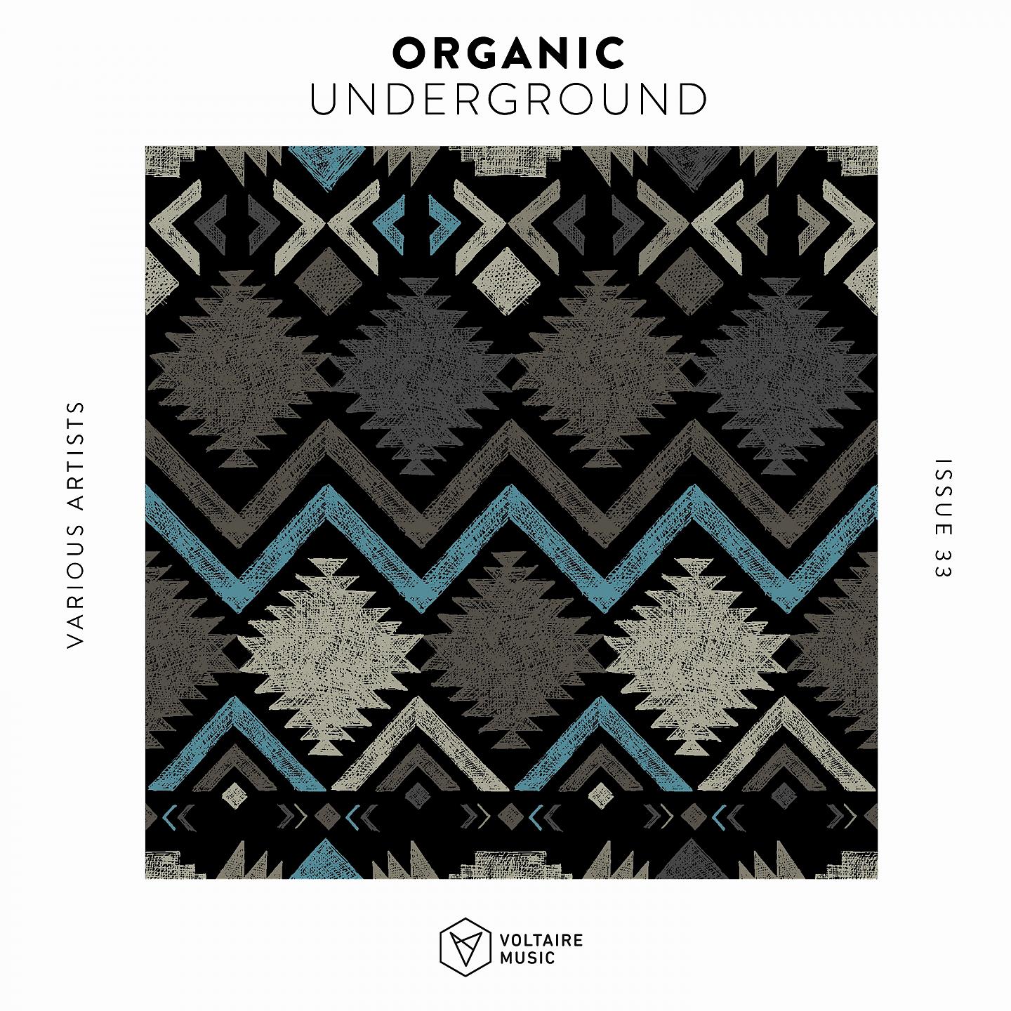 Постер альбома Organic Underground Issue 33