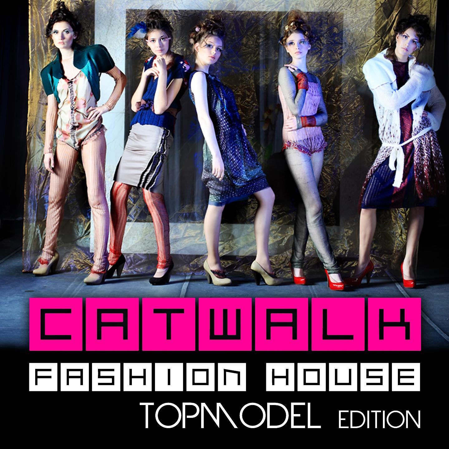 Постер альбома Catwalk Fashion House, Vol. 4 - Topmodel Edition