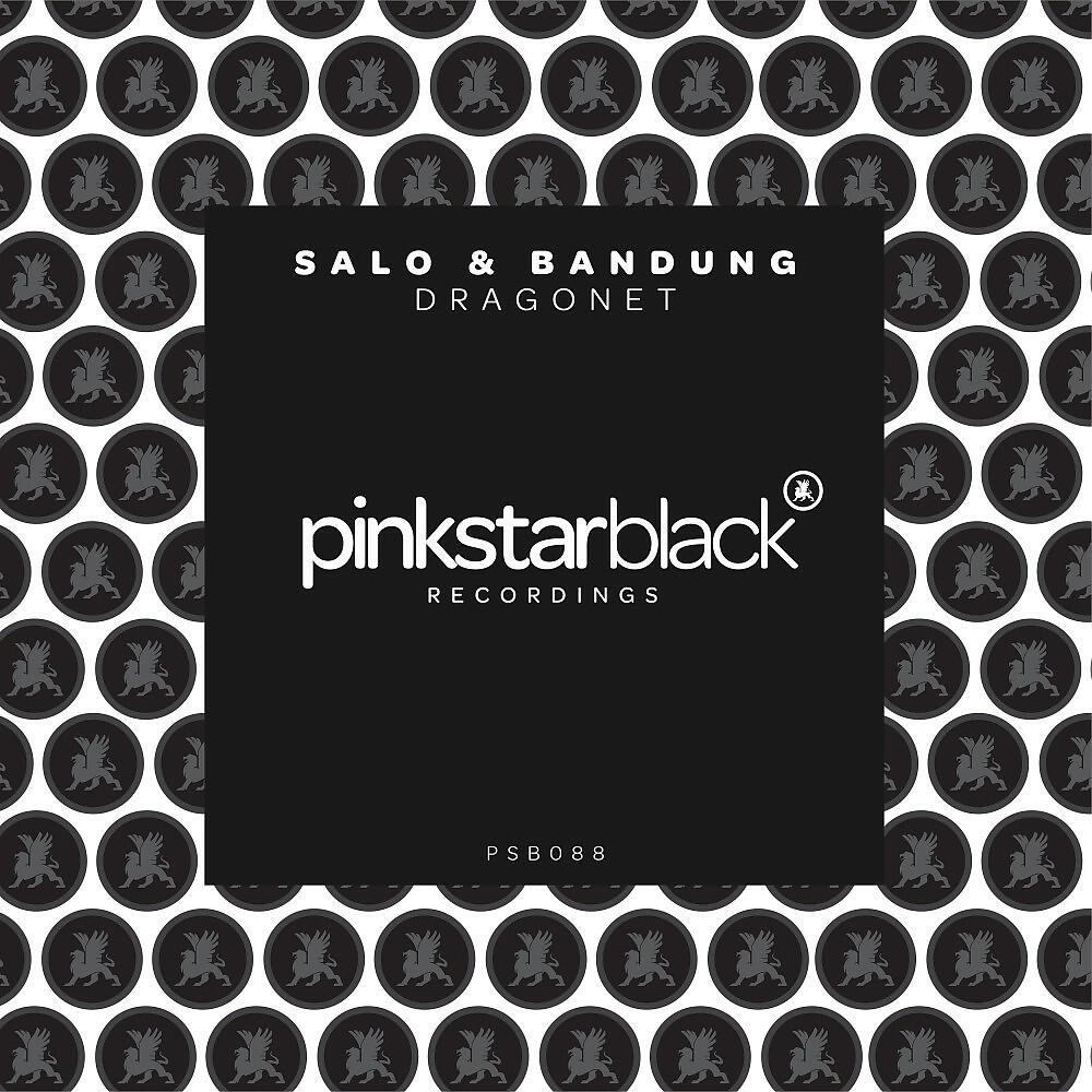 SALO - Dragonet