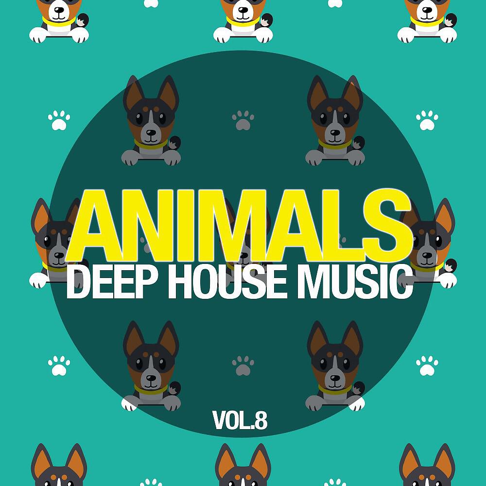 Piet Lorrigan - Baja Buggys (Jack Tee's House Mix)