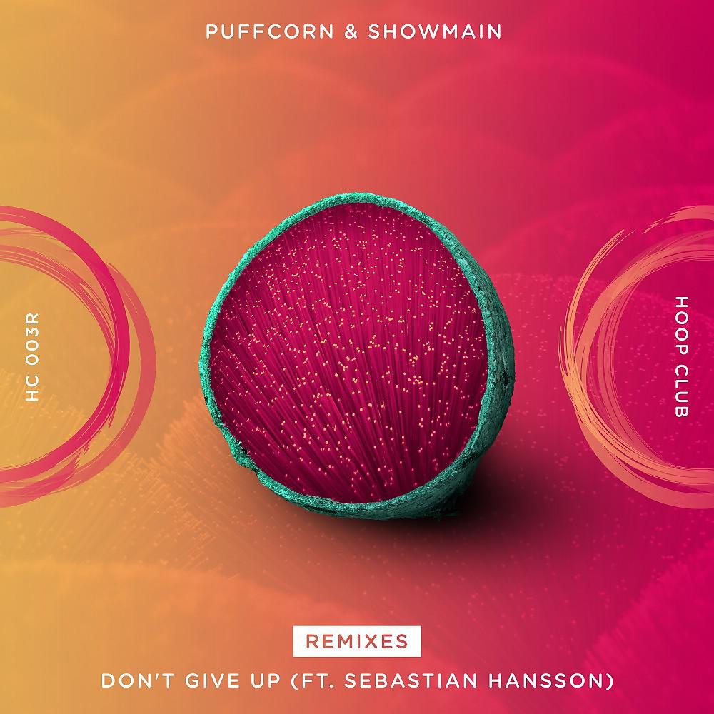 Постер альбома Don't Give Up (Ft. Sebastian Hansson) [Remixes]
