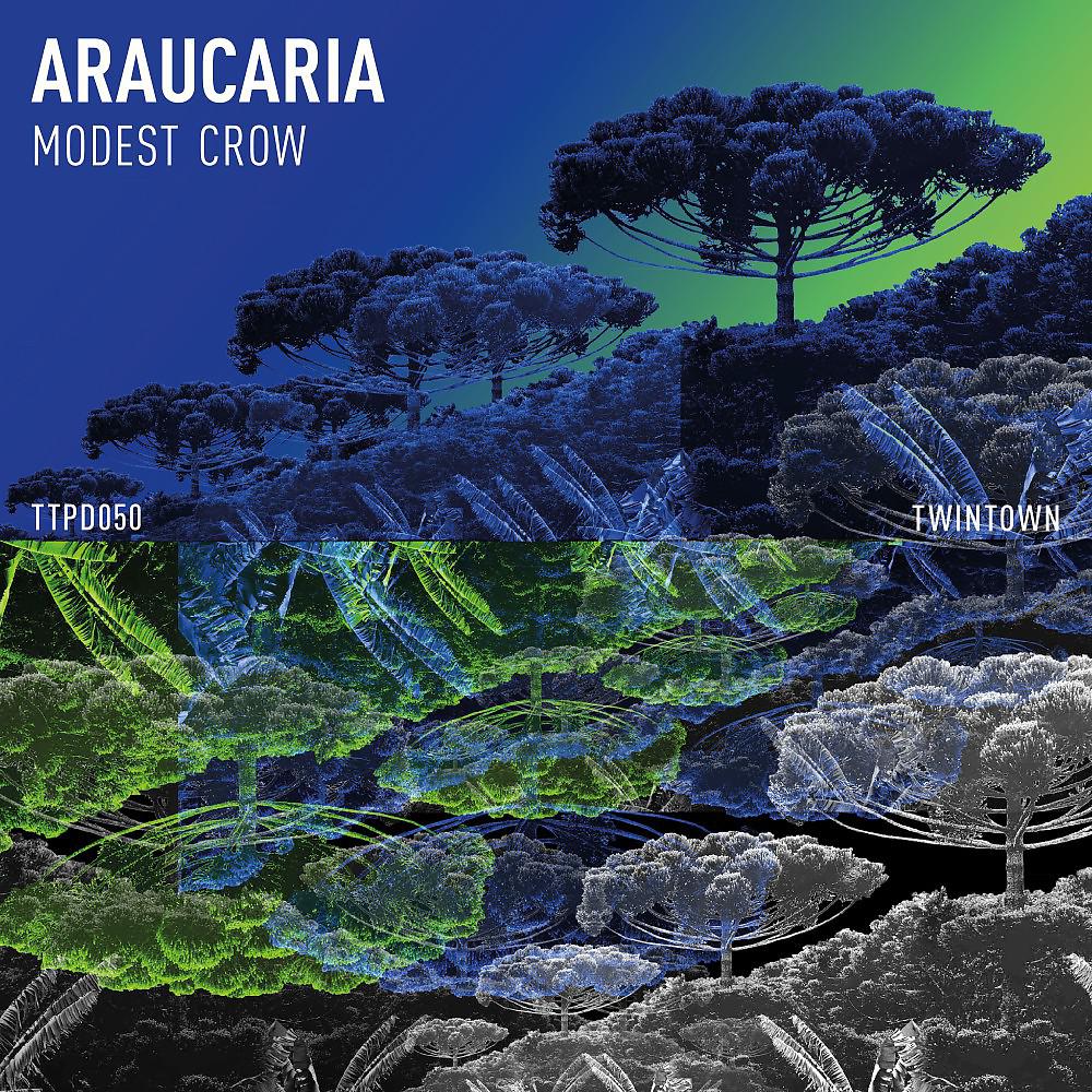 Постер альбома Araucaria
