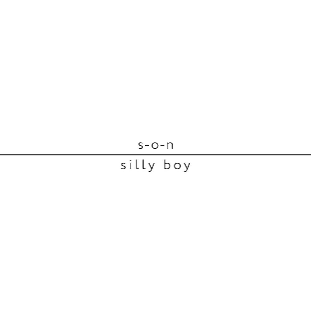 Постер альбома Silly Boy