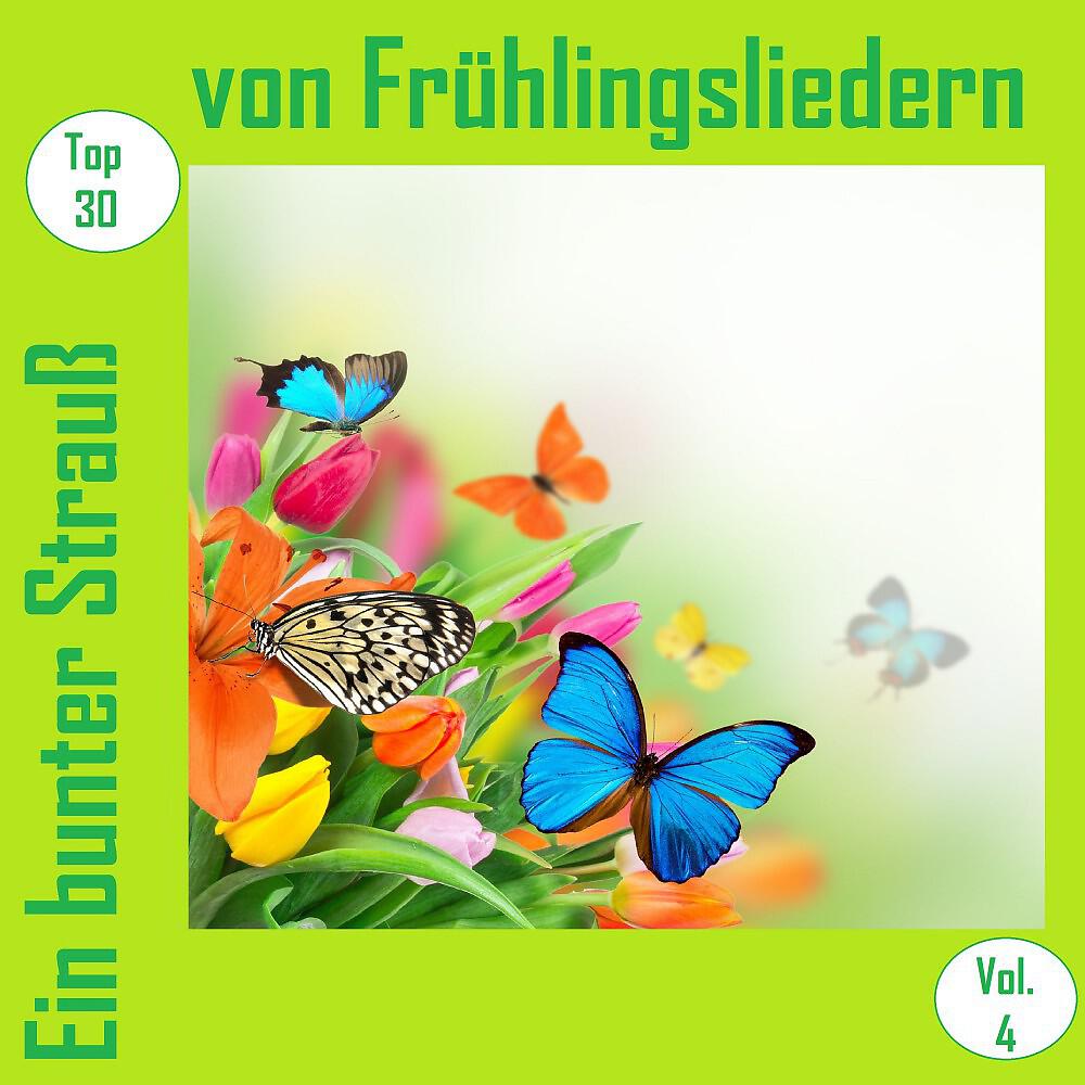 Elsi - Land im Licht der Sonne