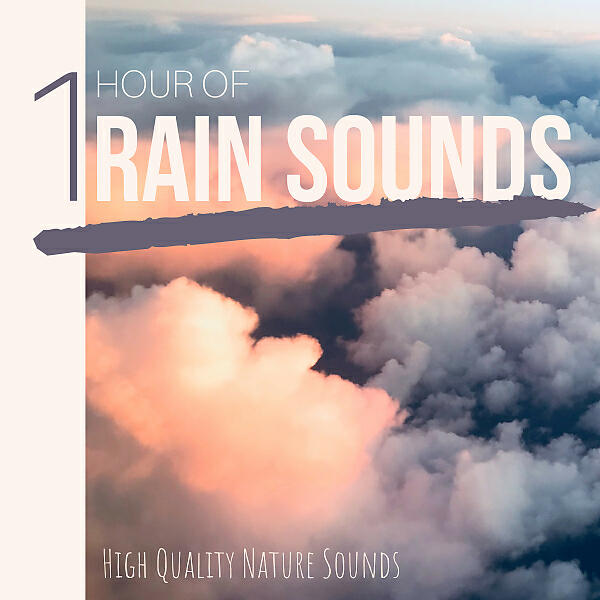Shakuhachi Sakano - Rain Sounds