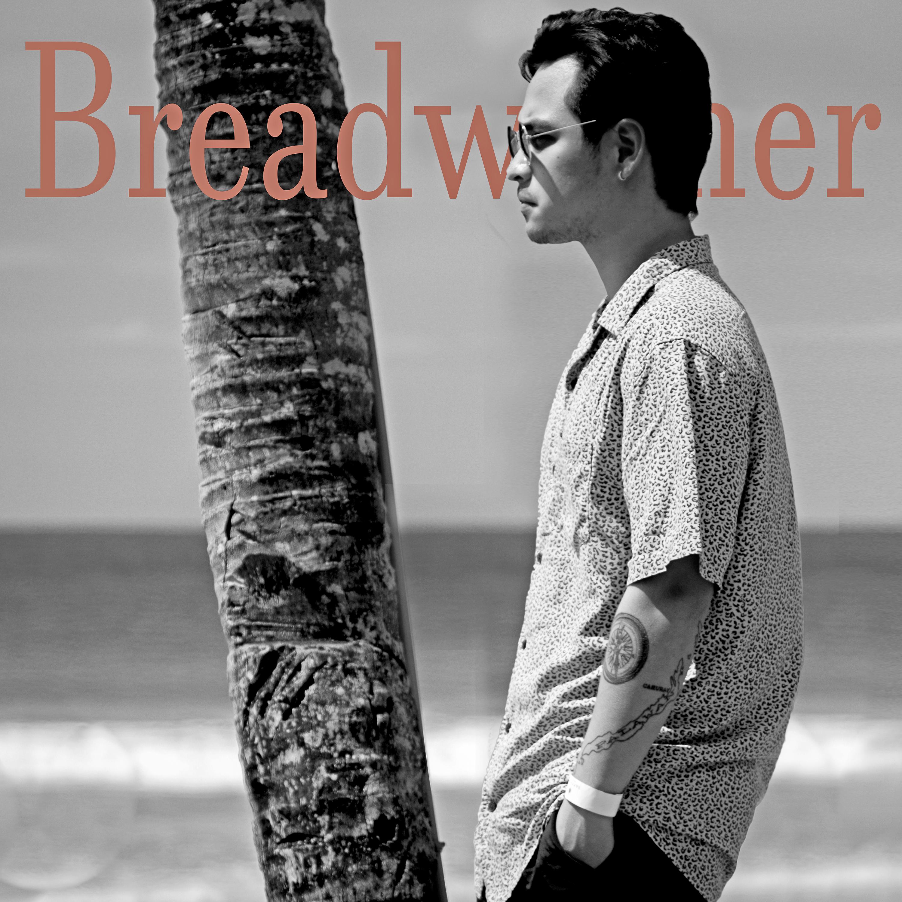 Постер альбома Breadwinner