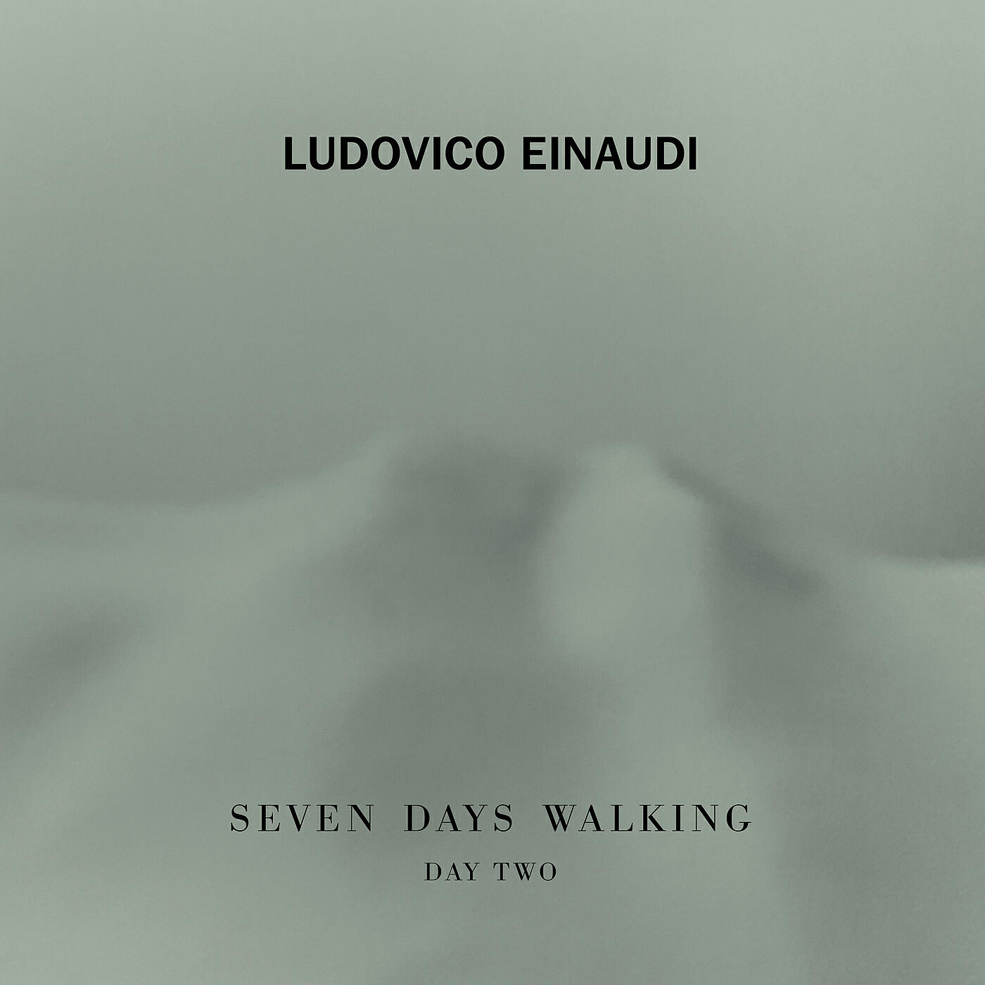 Ludovico Einaudi - Einaudi: Seven Days Walking / Day 2 - Birdsong