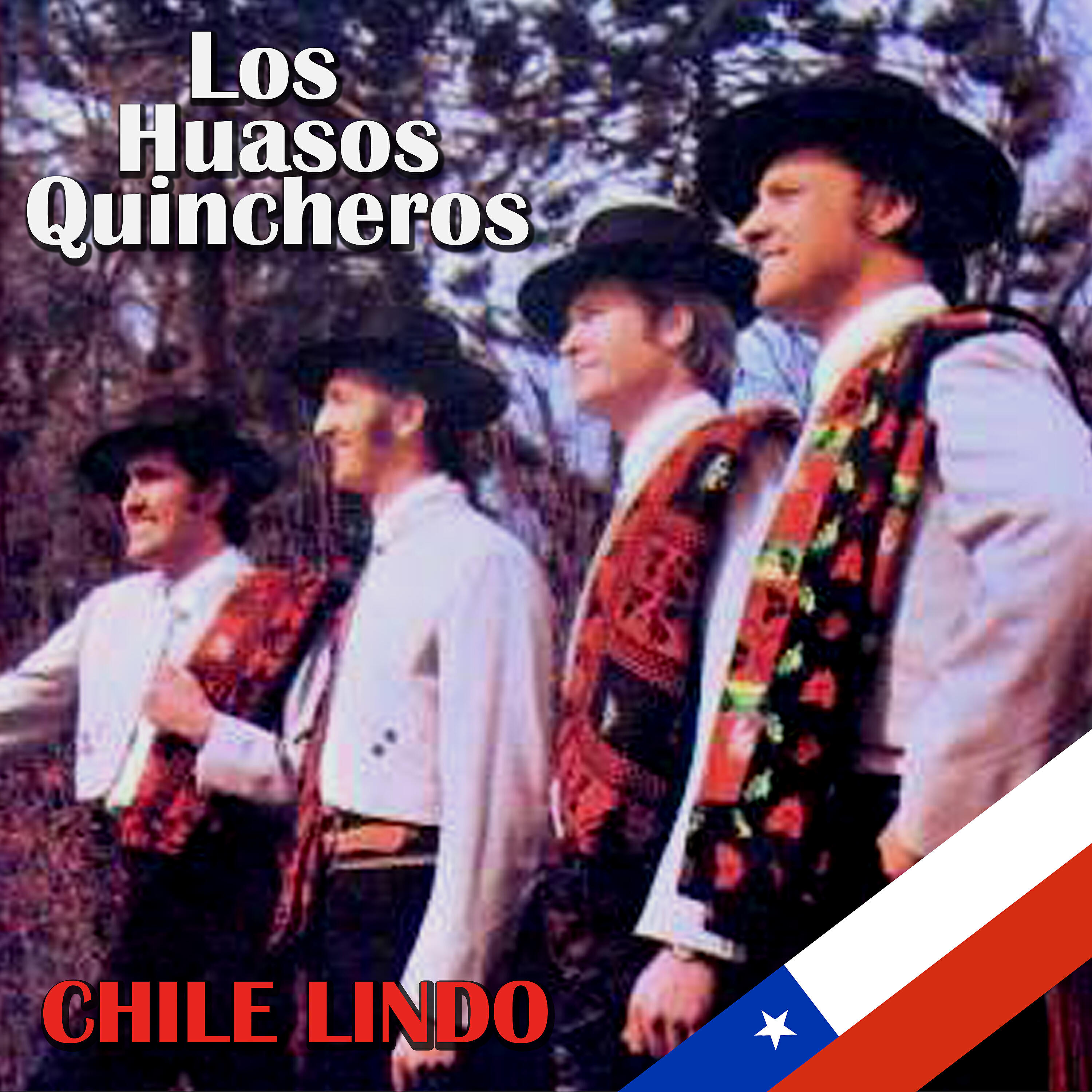 Los Huasos Quincheros - De Noche Te Vengo a Ver