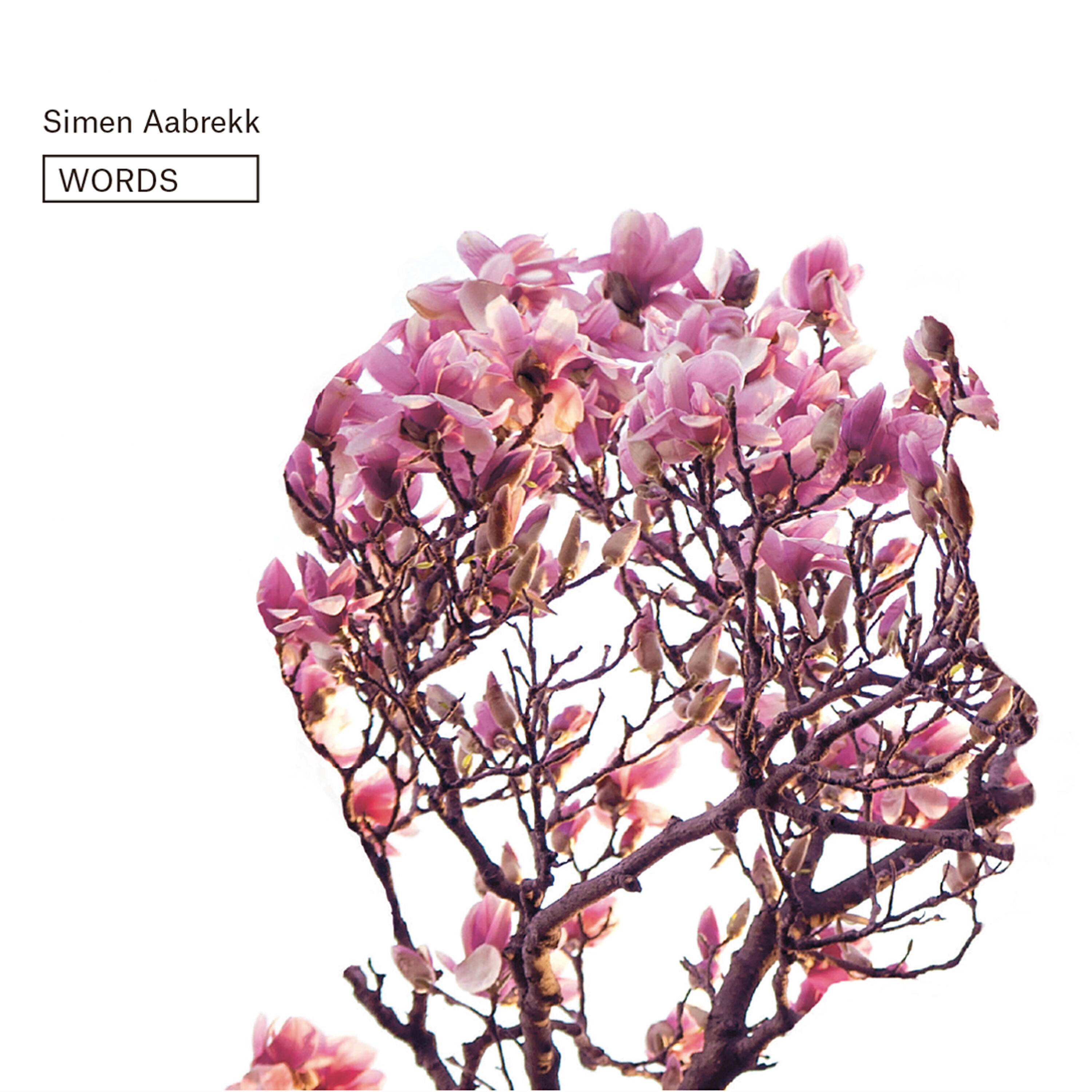 Simen Aabrekk - Eg Er God Nok