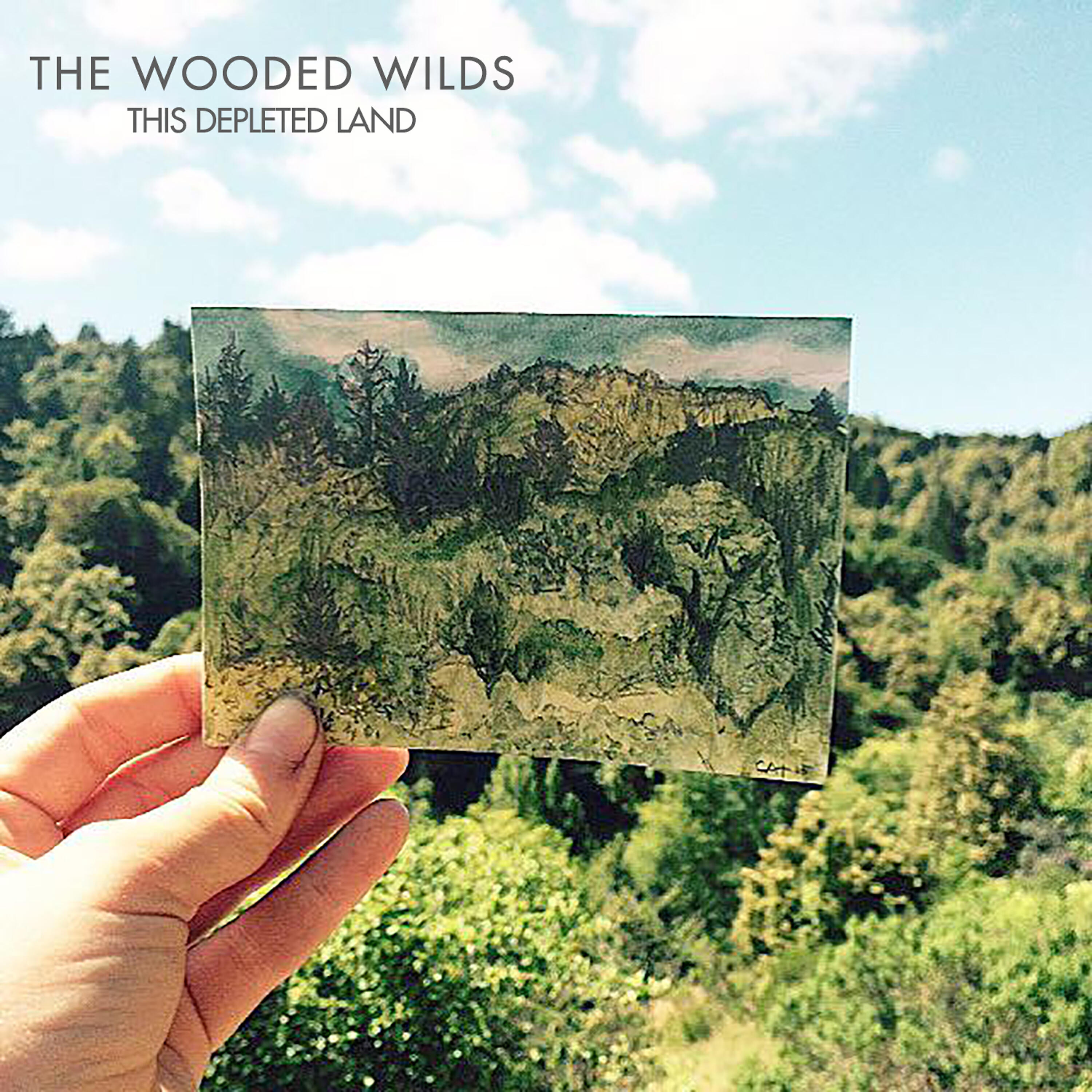 The Wooded Wilds - A Punishing Regime