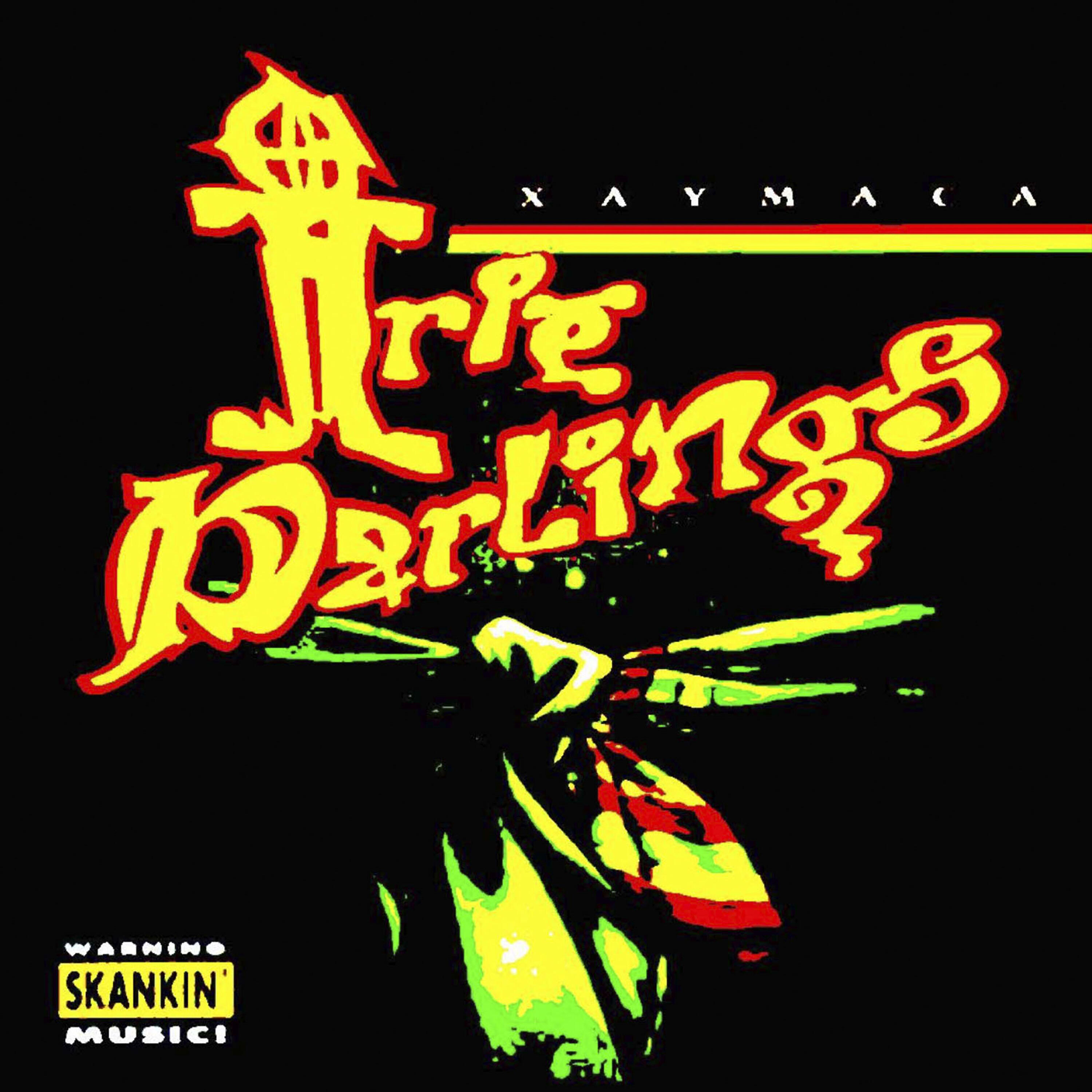 Irie Darlings - Crying at the Gates of Zion (Studio Version)