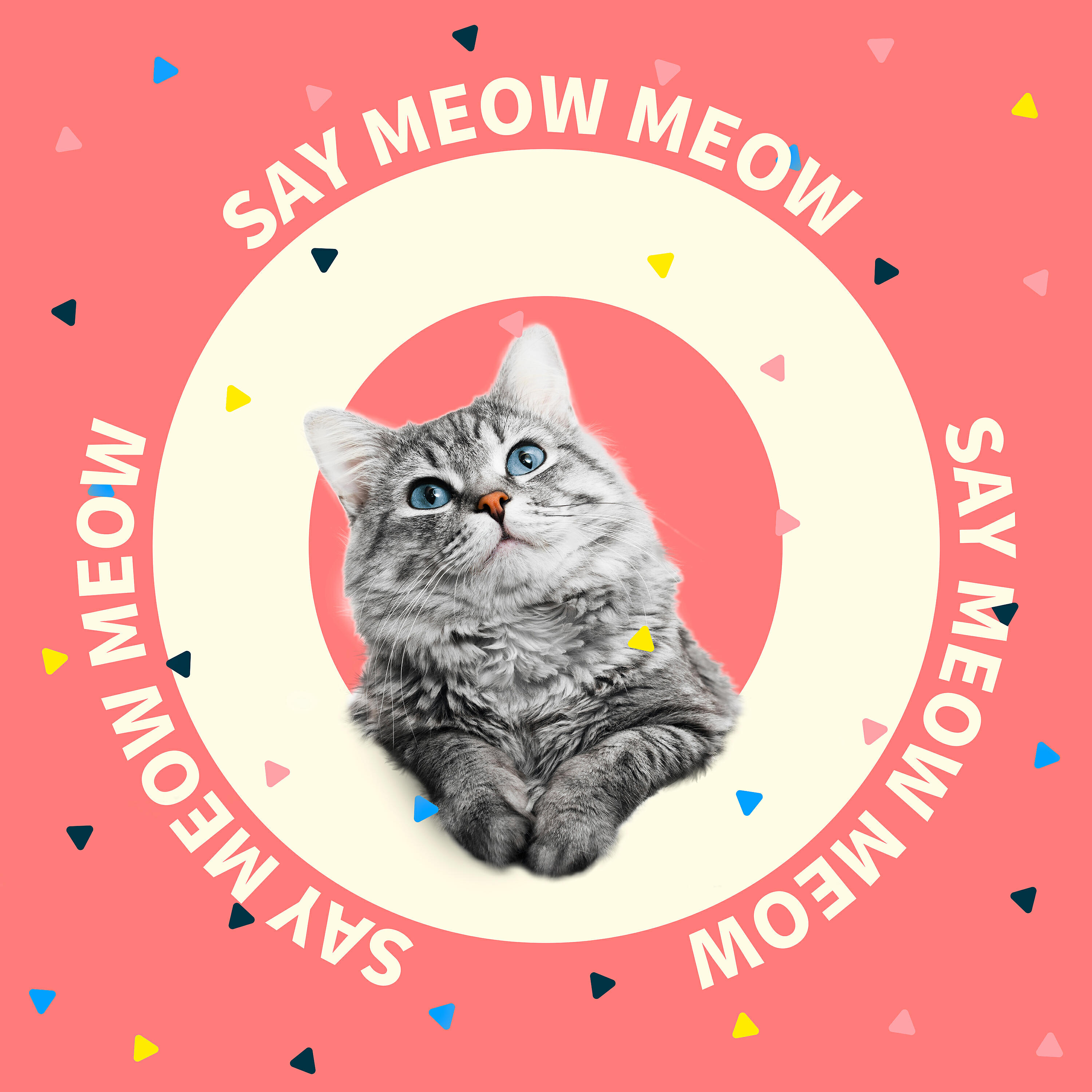 Celine Wanyi - Say Meow Meow