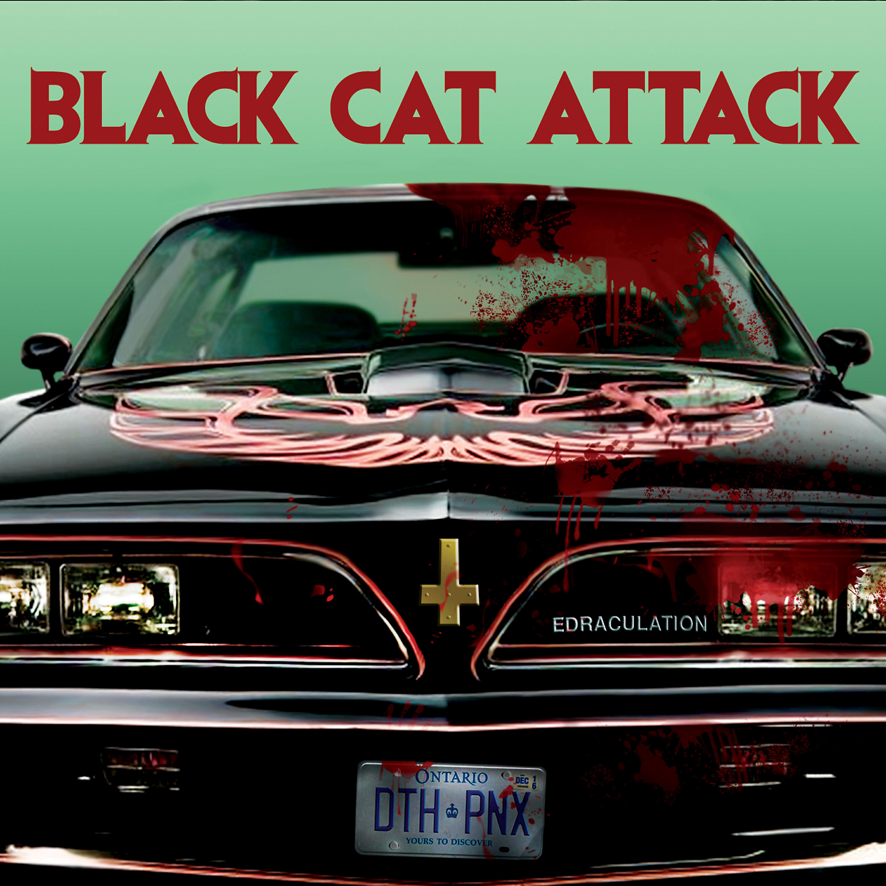 Black Cat Attack - One Night on Vampire Beach
