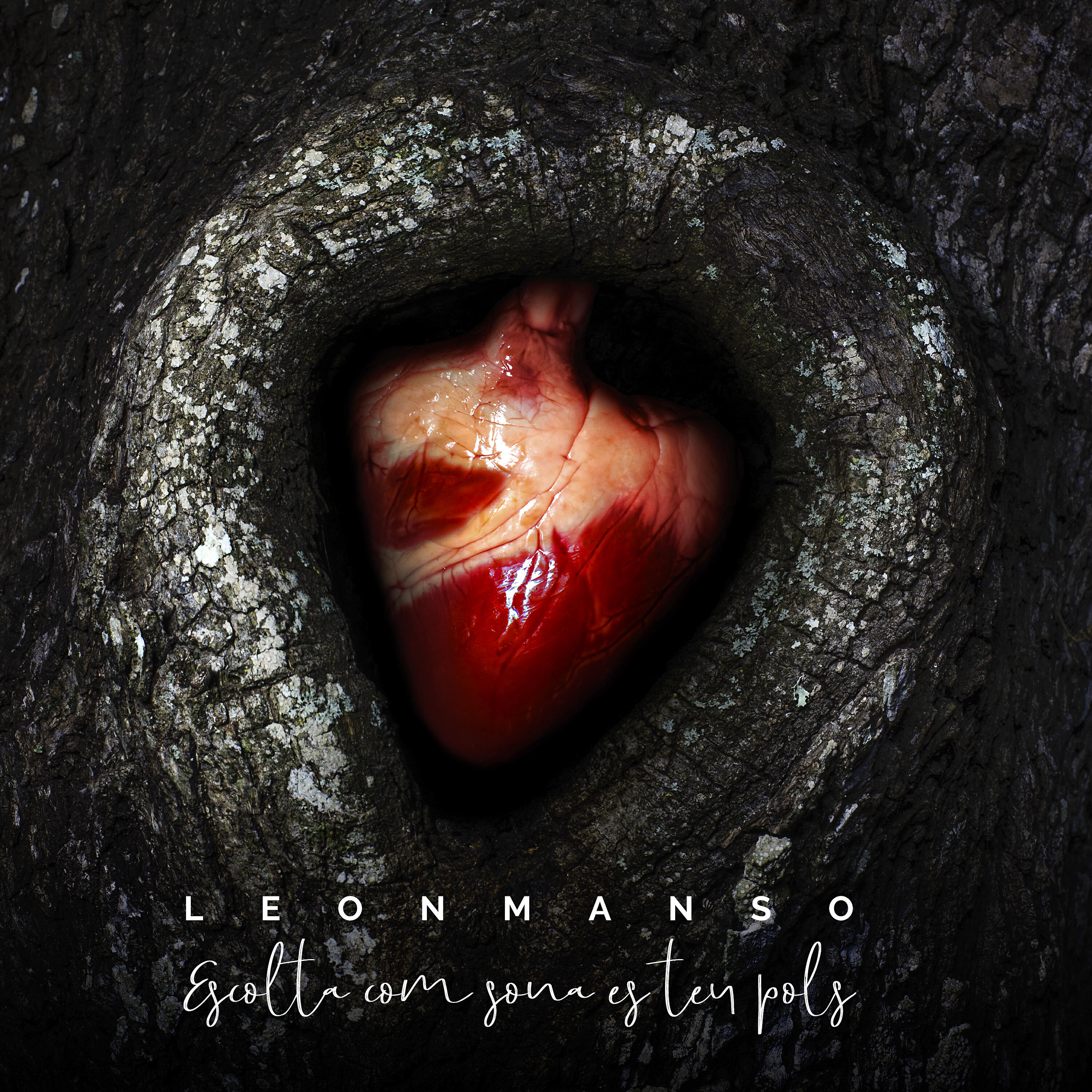 Leonmanso - Escolta com sona es teu pols