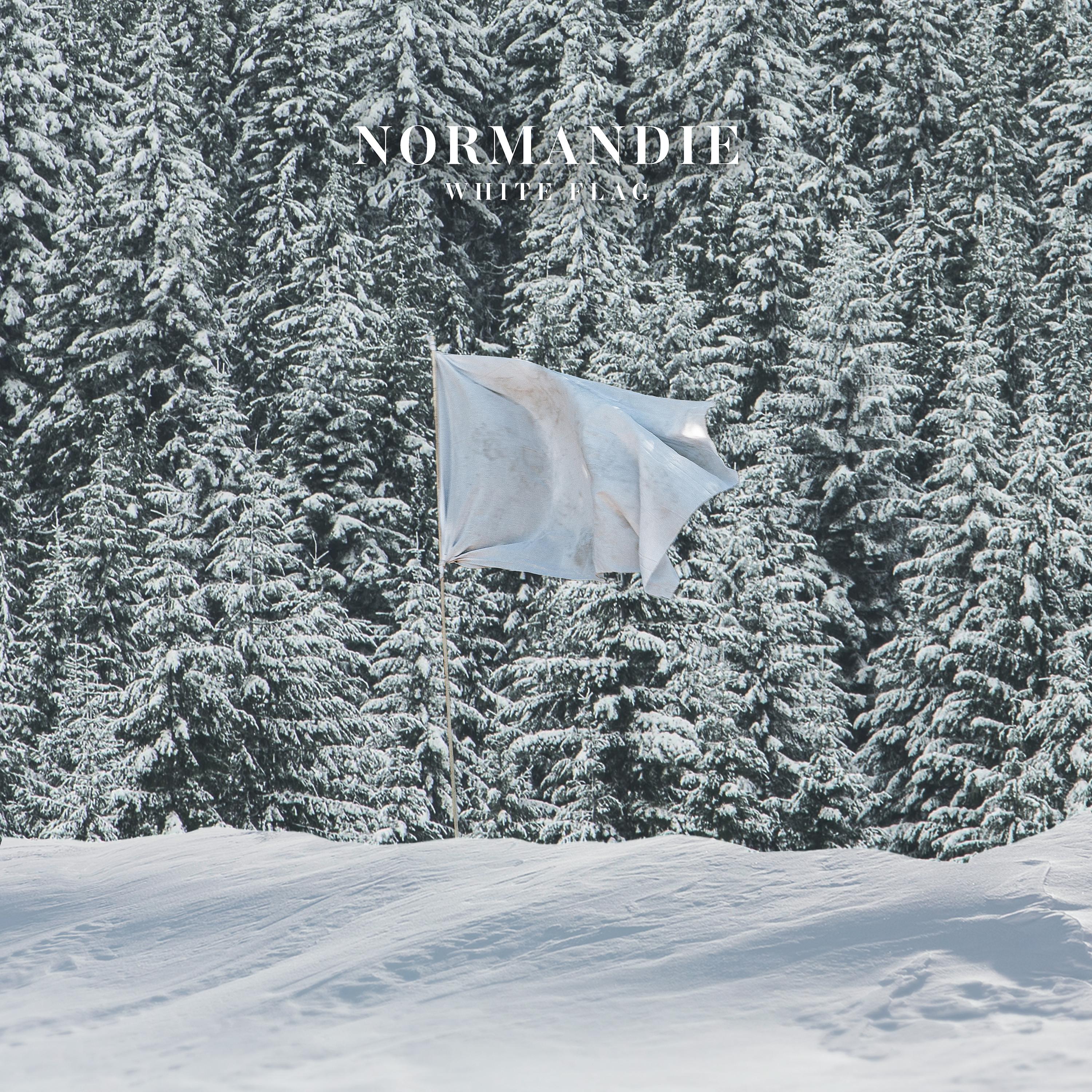Постер альбома White Flag (Reimagined)