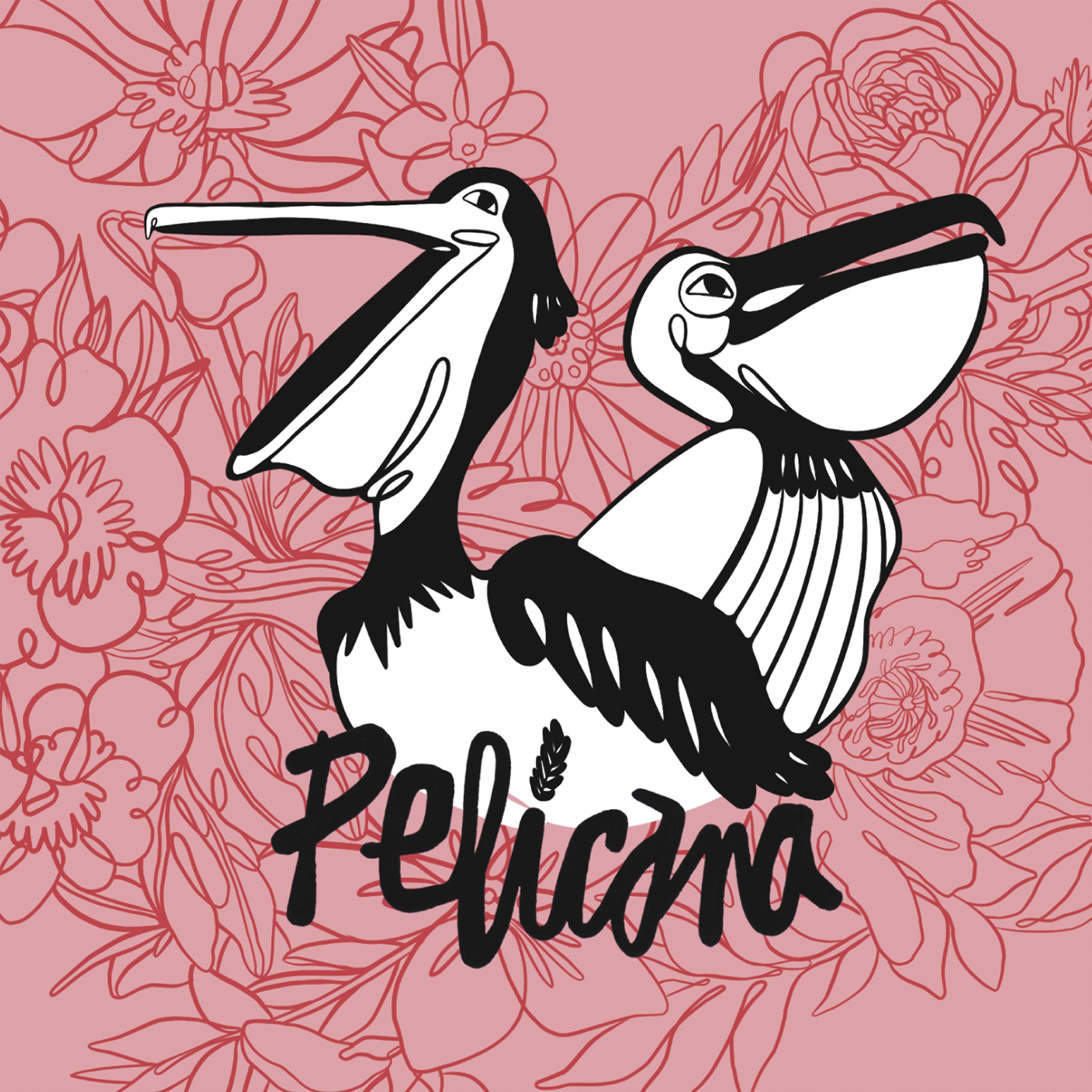 Постер альбома Pelícana